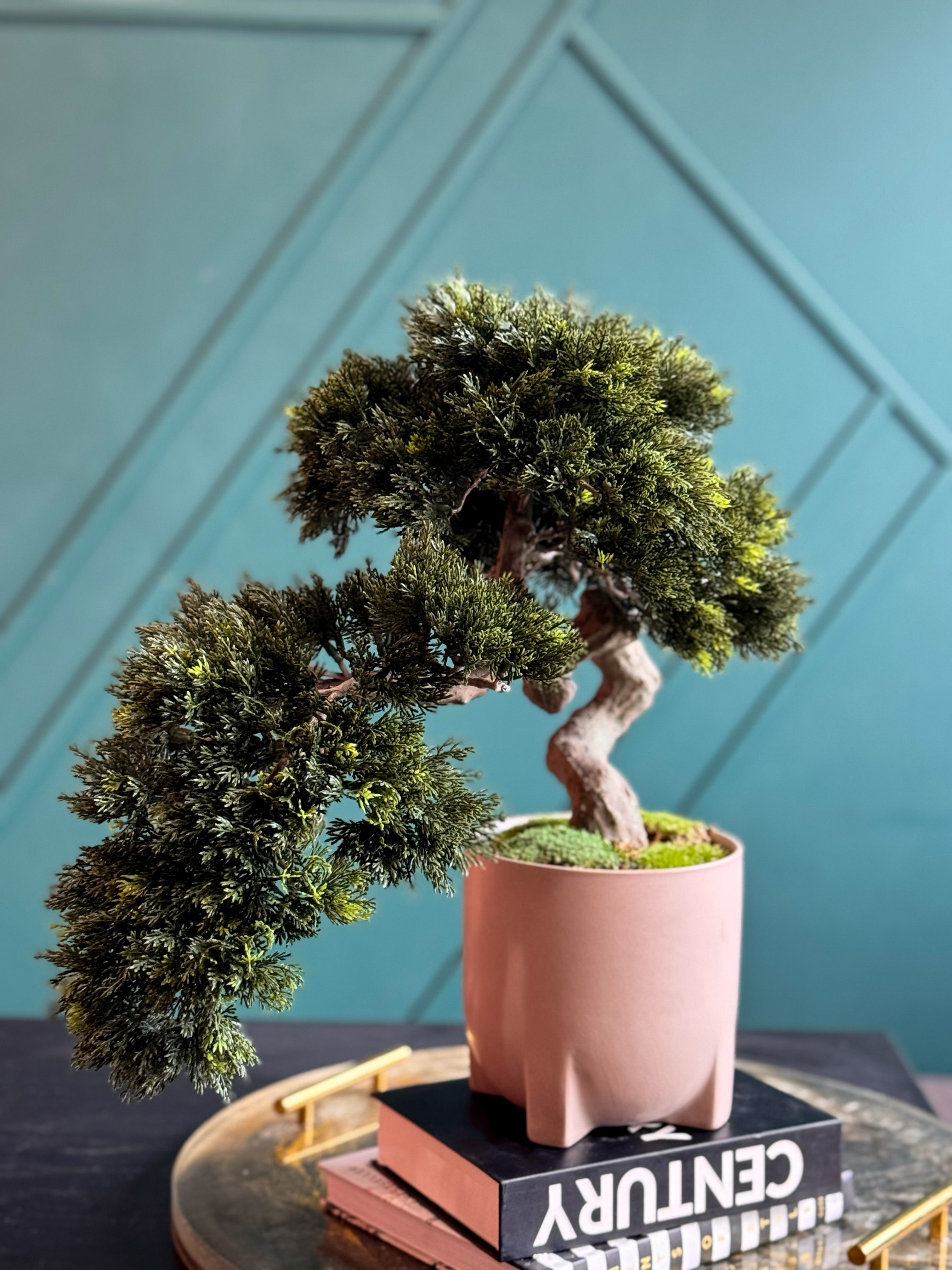 Luxury Artificial Bonsai Tree in Modern Pink Cement Planter | Real Touch Faux Bonsai Decor