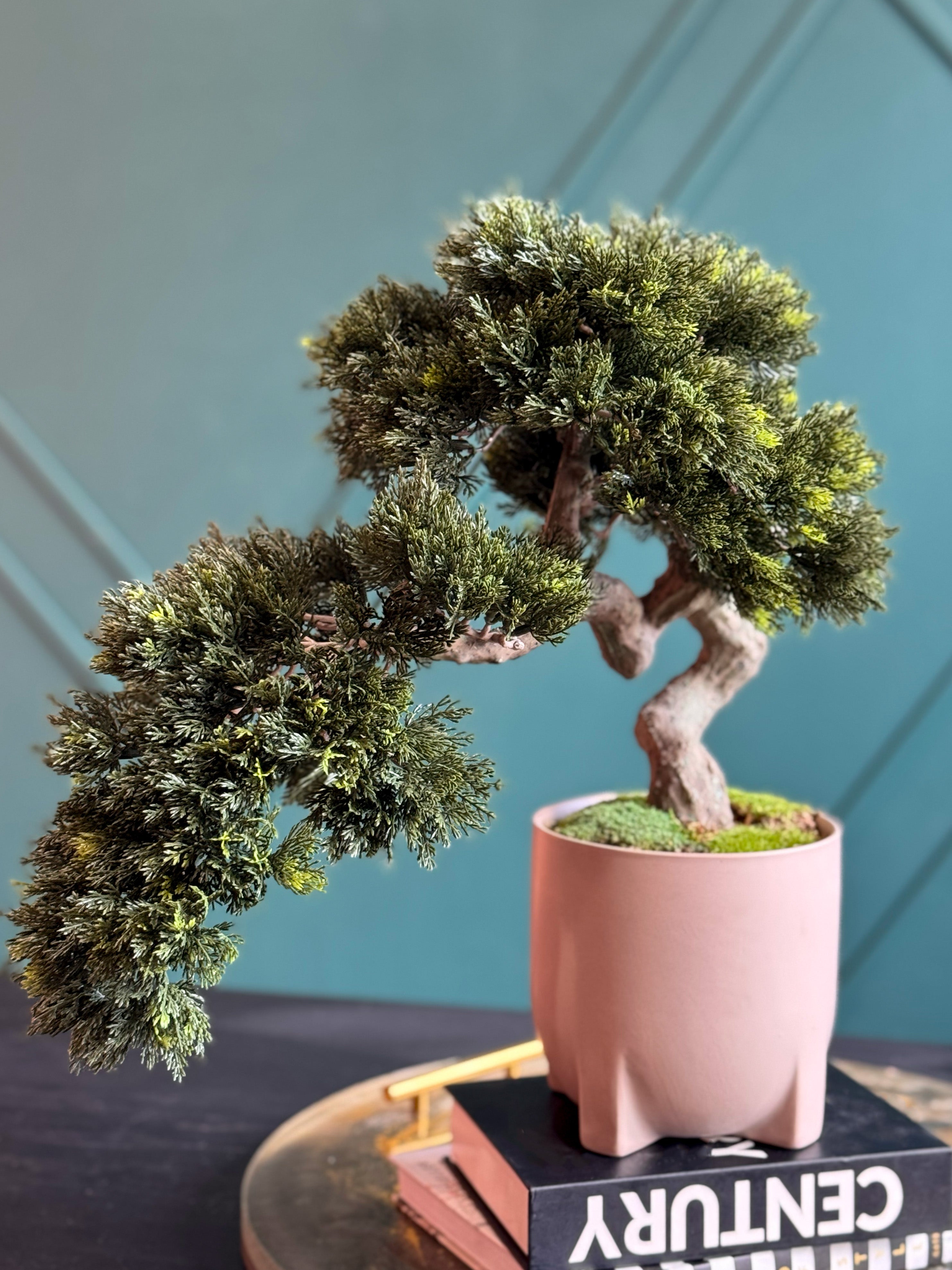 Luxury Artificial Bonsai Tree in Modern Pink Cement Planter | Real Touch Faux Bonsai Decor