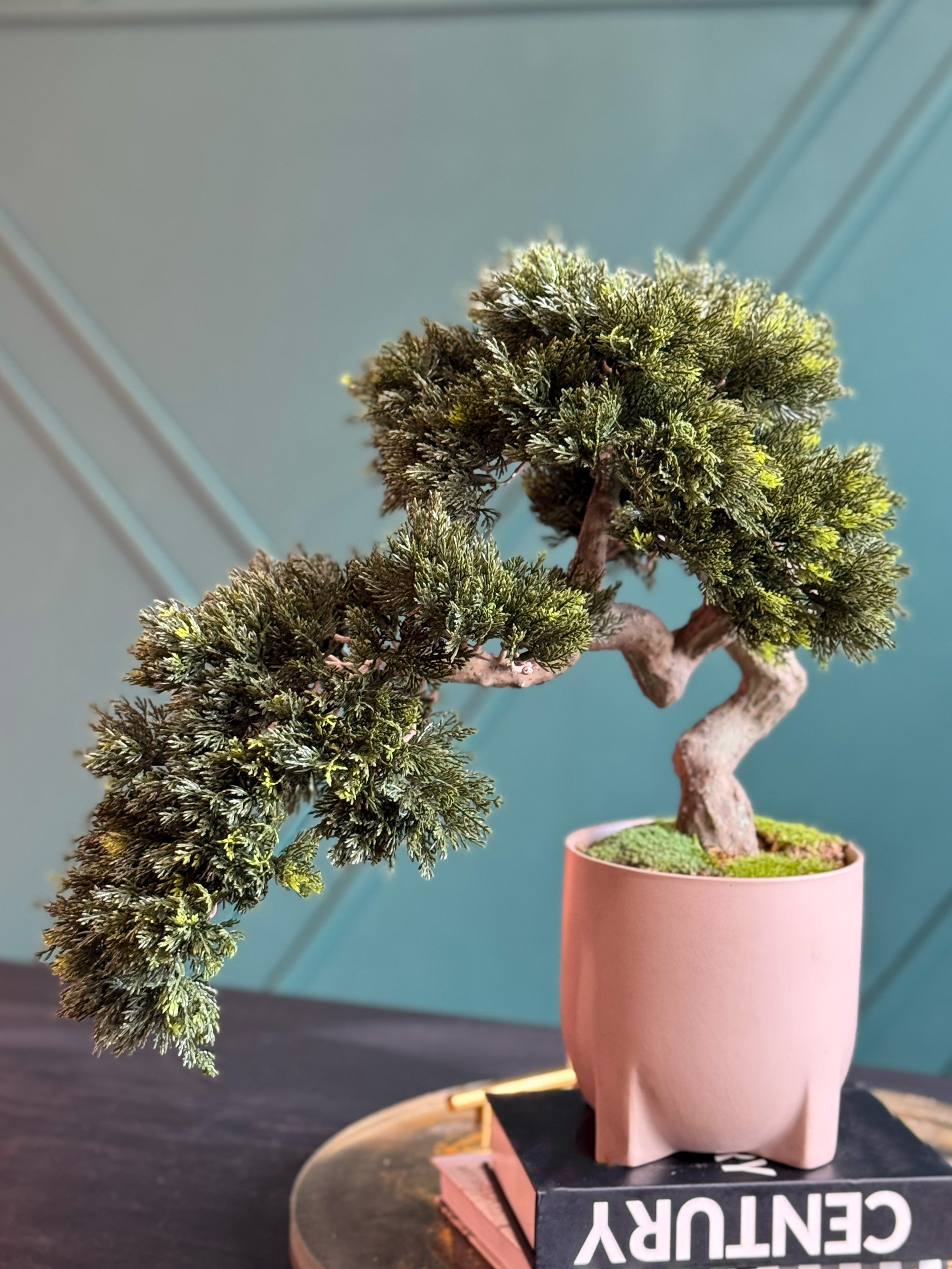 Luxury Artificial Bonsai Tree in Modern Pink Cement Planter | Real Touch Faux Bonsai Decor