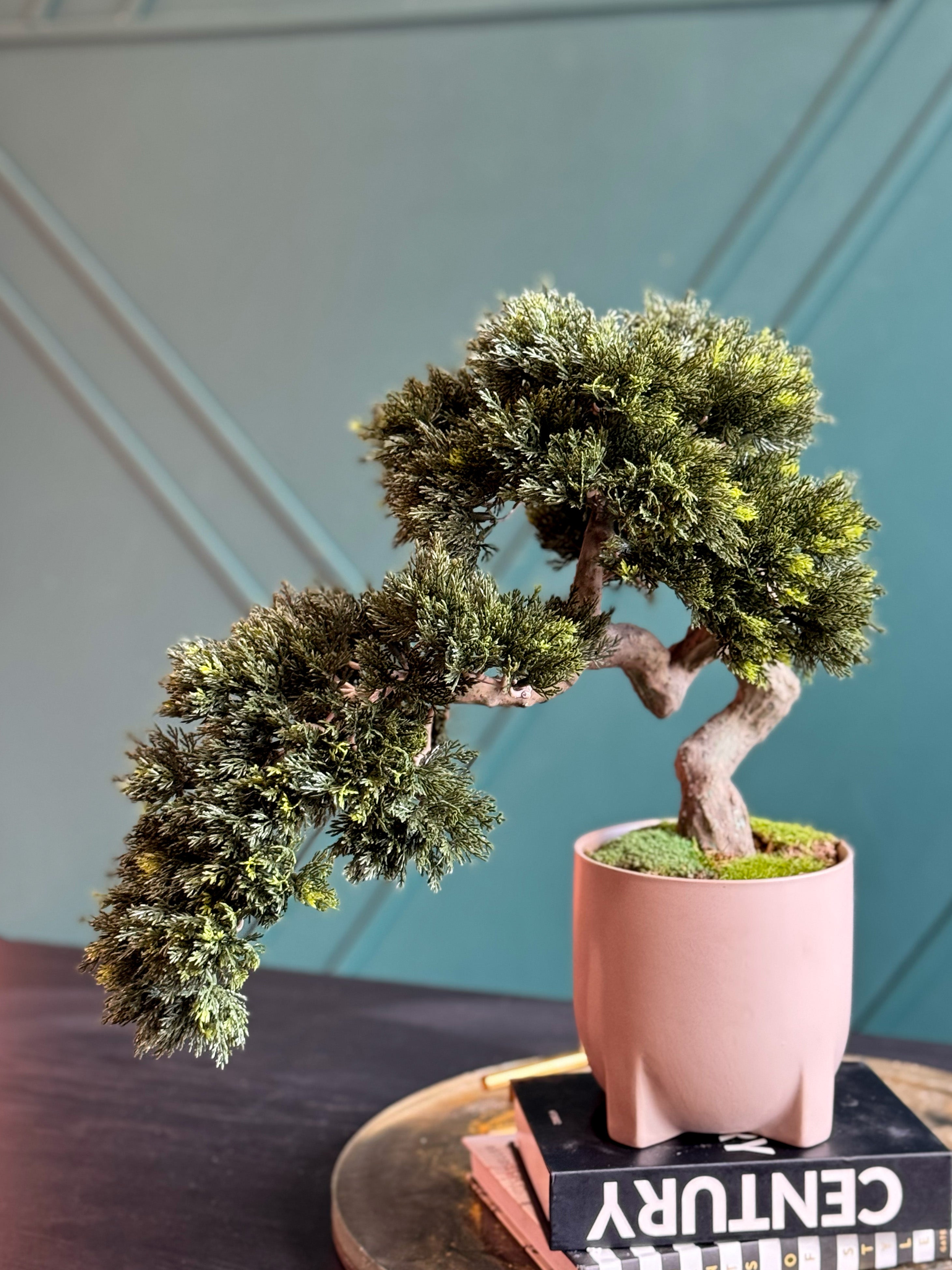 Luxury Artificial Bonsai Tree in Modern Pink Cement Planter | Real Touch Faux Bonsai Decor