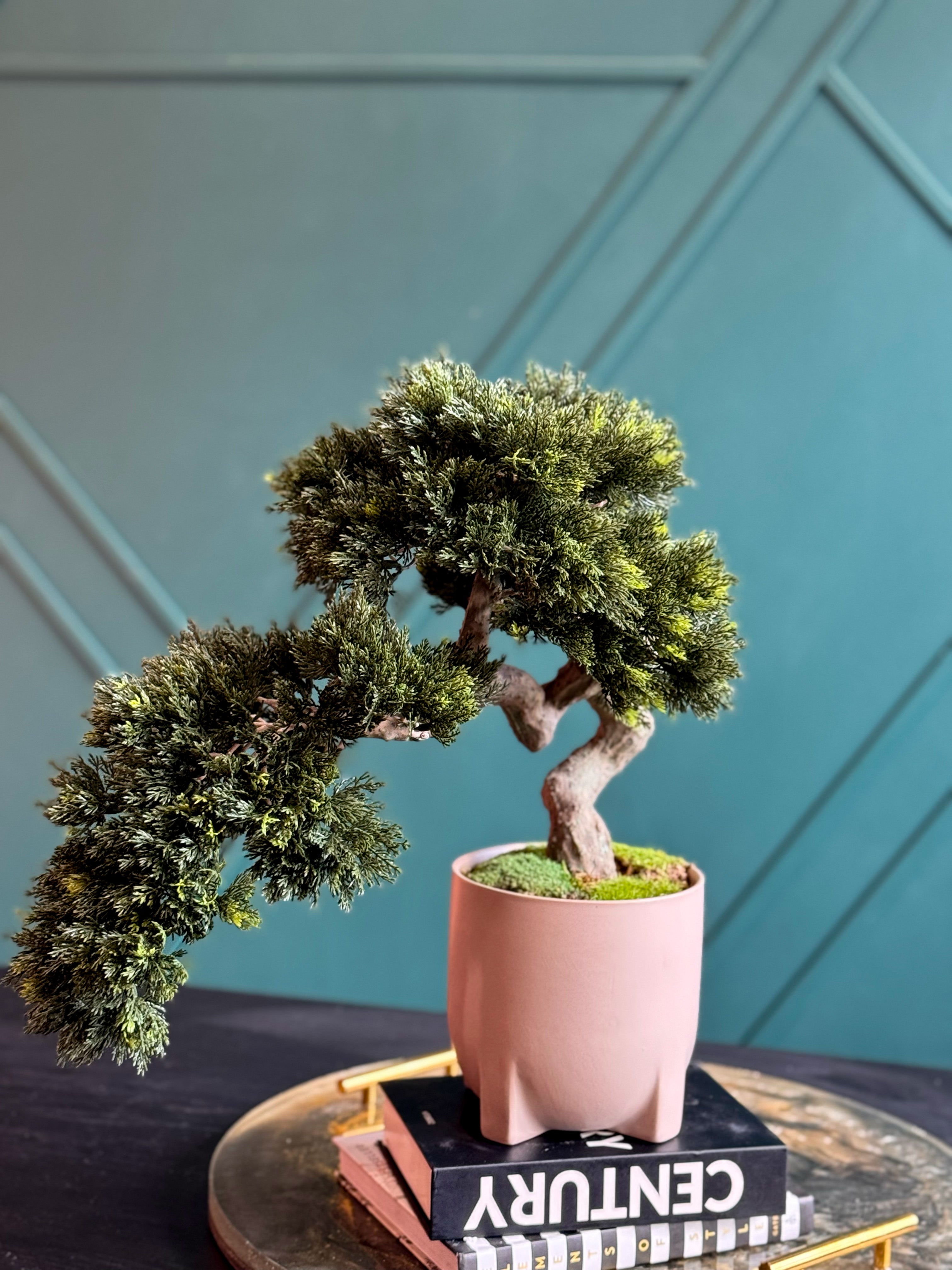 Luxury Artificial Bonsai Tree in Modern Pink Cement Planter | Real Touch Faux Bonsai Decor