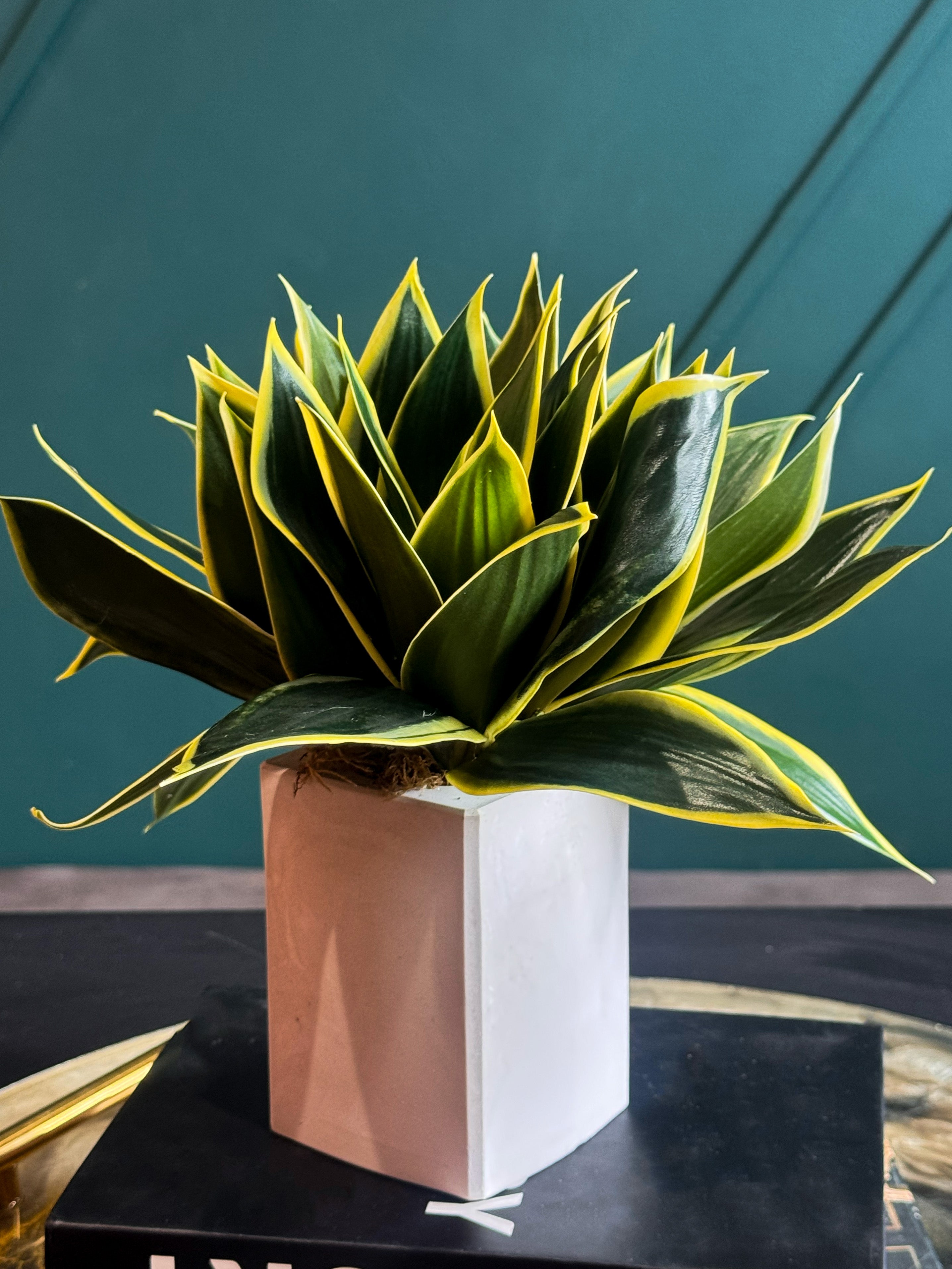 Luxury Artificial Snake Plant in Modern Cement Planter | Real Touch Faux Sansevieria Decor