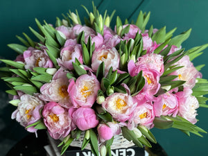 Love in Bloom | 100 Tulips 50 Peonies Bouquet Miami buy online Luxury Flowers Miami