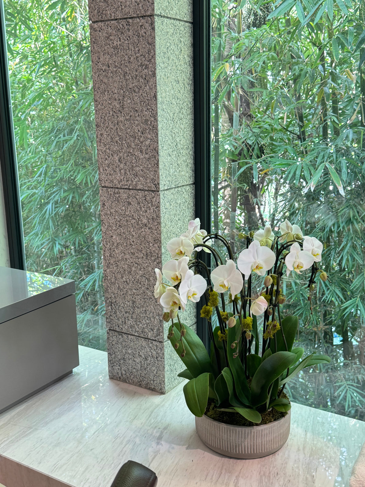 Orchid Plant Subscription – Potted Orchids & Plant Arrangements