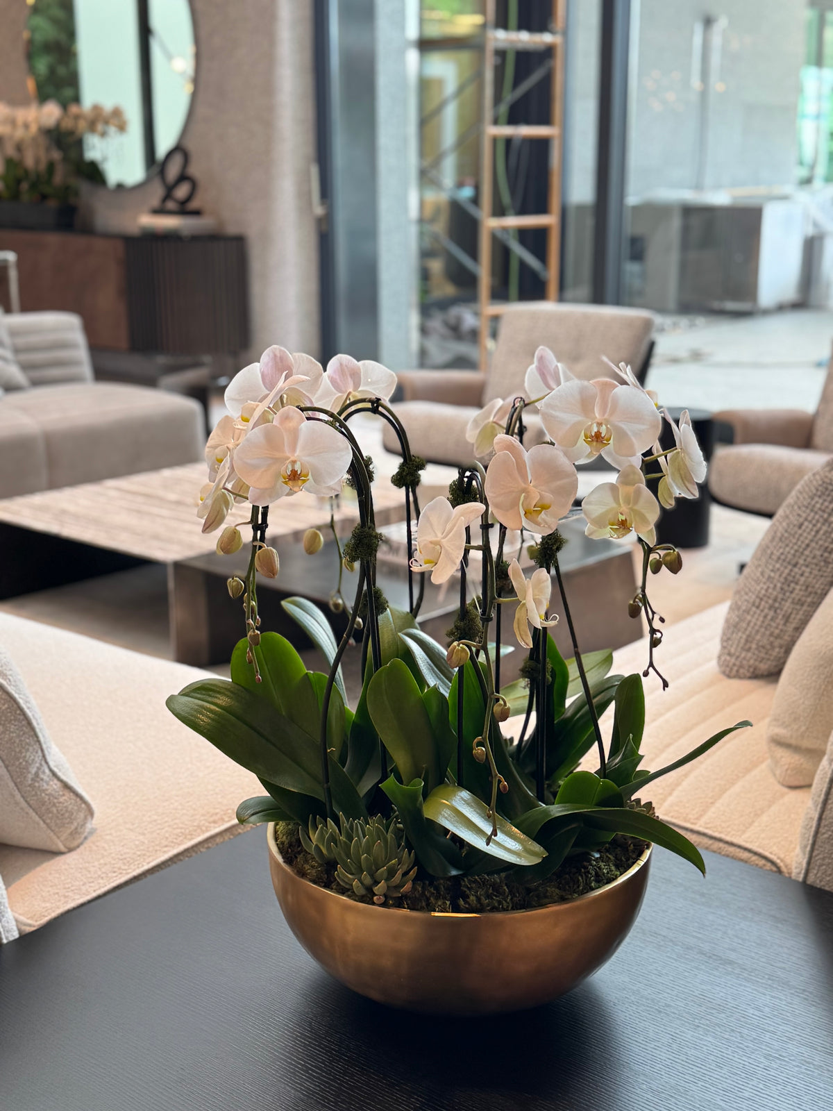 Orchid Plant Subscription – Potted Orchids & Plant Arrangements