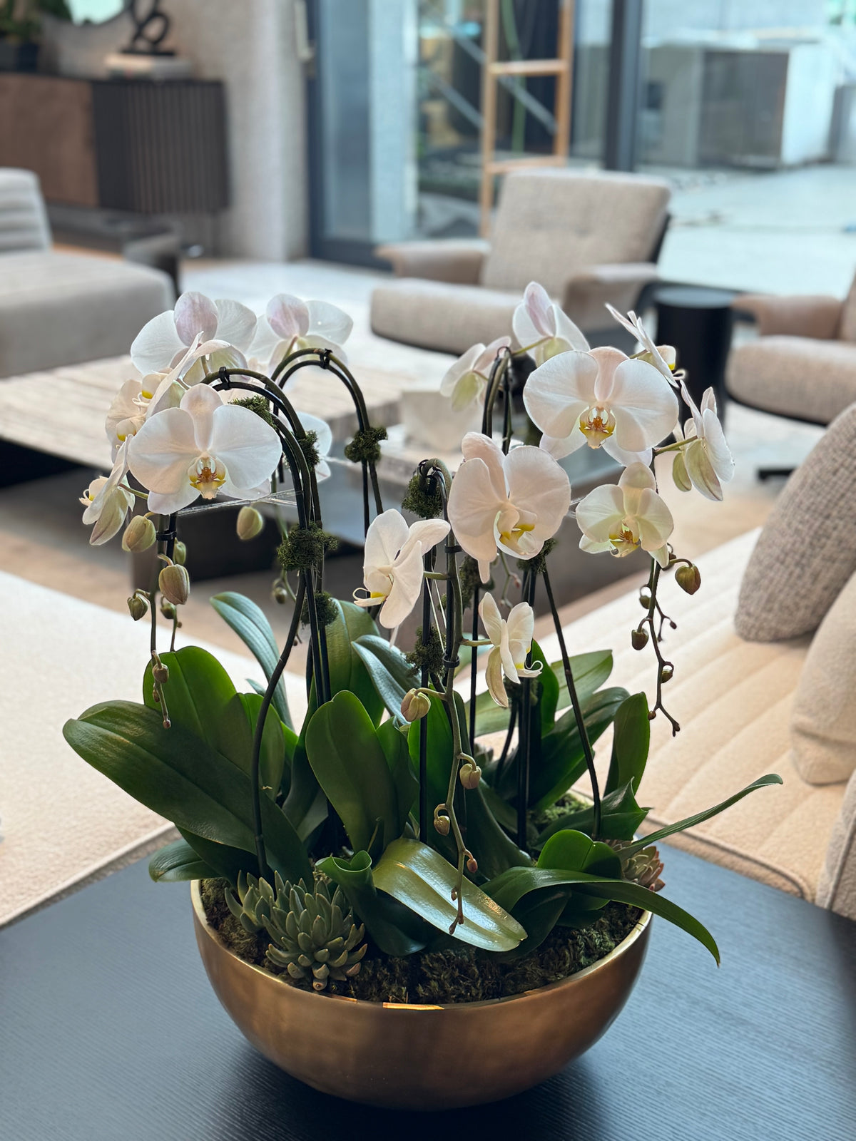 Orchid Plant Subscription – Potted Orchids & Plant Arrangements