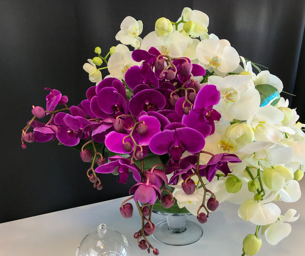 Phalaenopsis Orchid Arrangement | Luxury Orchid Design buy online Luxury Flowers Miami