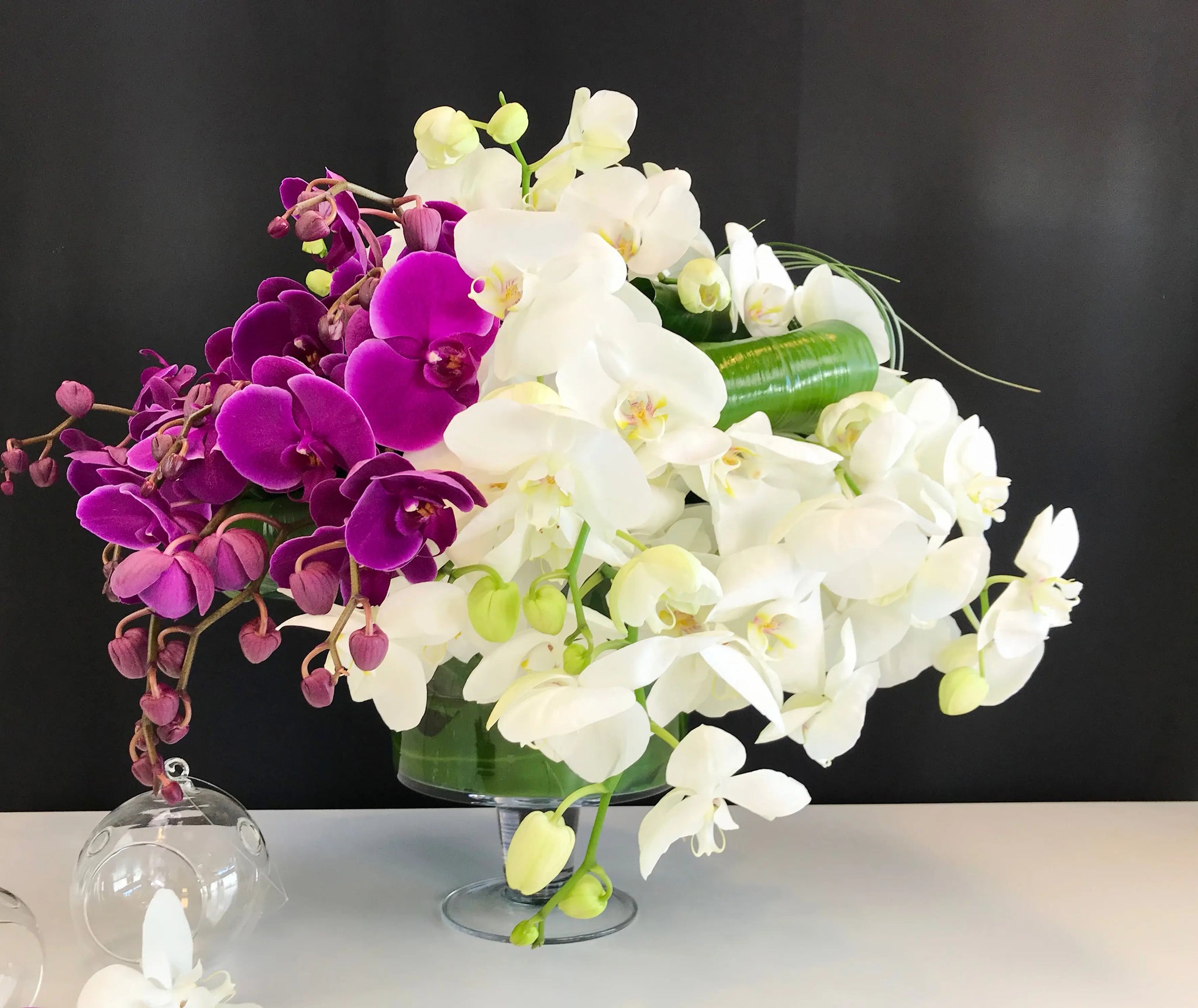 Phalaenopsis Orchid Arrangement | Luxury Orchid Design buy online Luxury Flowers Miami