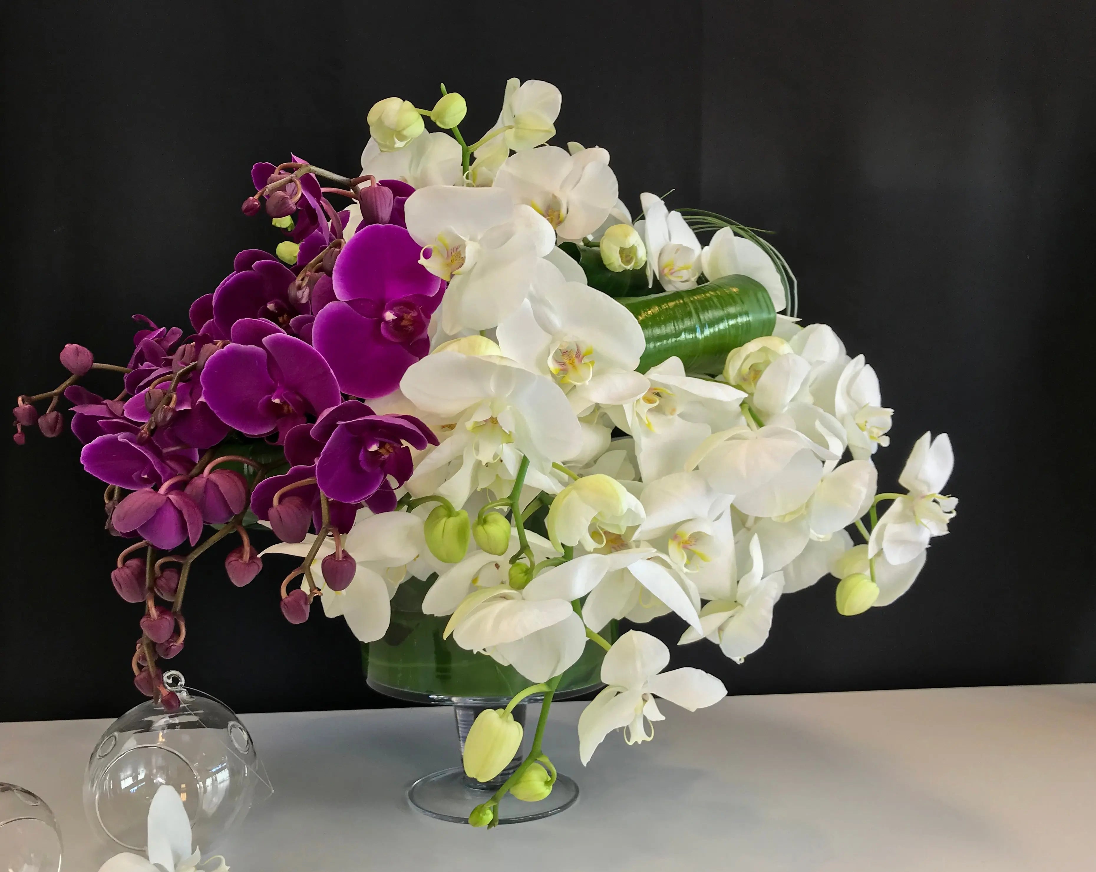 Phalaenopsis Orchid Arrangement | Luxury Orchid Design buy online Luxury Flowers Miami