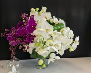 Phalaenopsis Orchid Arrangement | Luxury Orchid Design buy online Luxury Flowers Miami