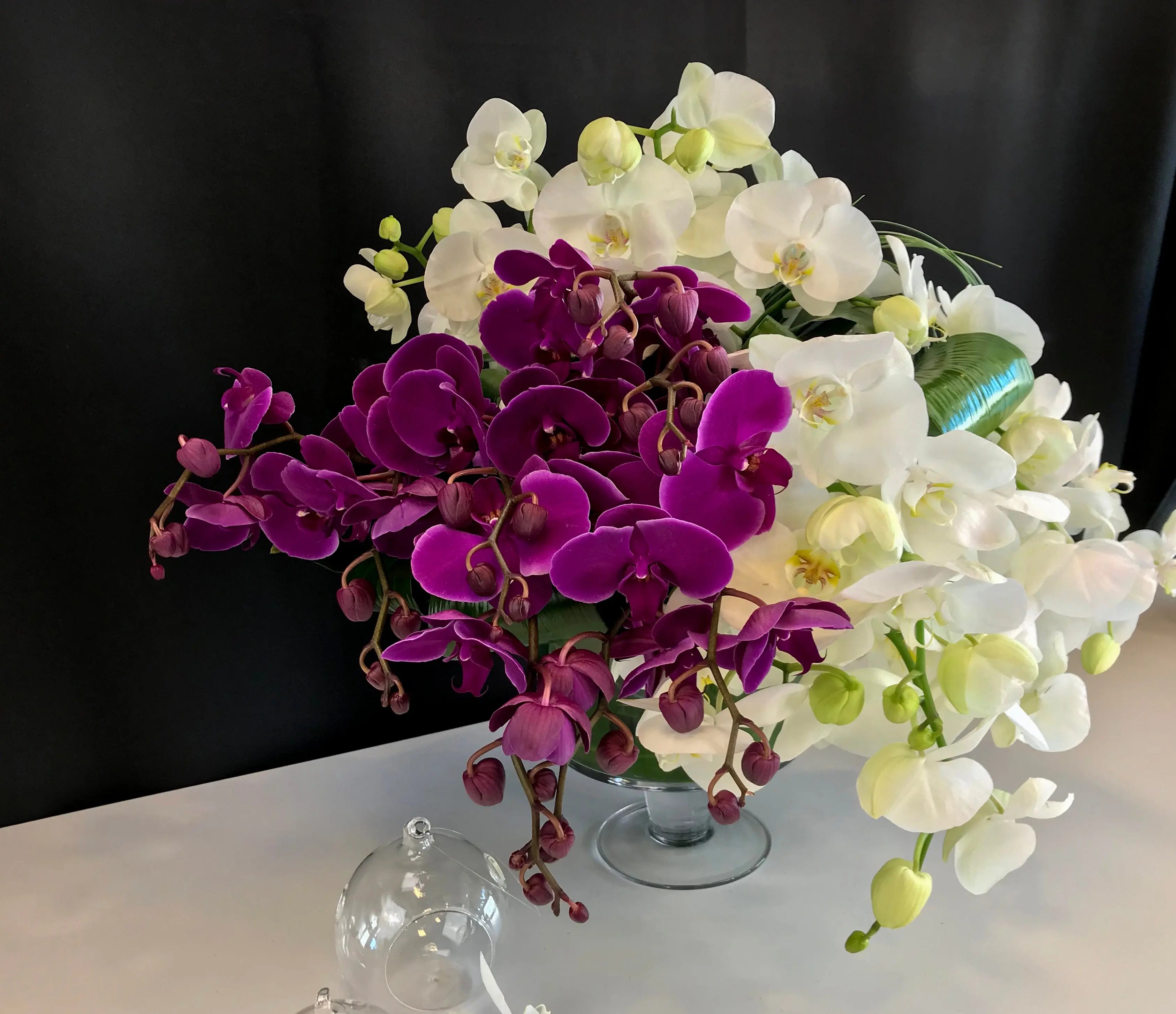 Phalaenopsis Orchid Arrangement | Luxury Orchid Design buy online Luxury Flowers Miami