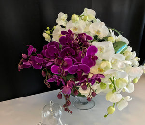 Phalaenopsis Orchid Arrangement | Luxury Orchid Design buy online Luxury Flowers Miami