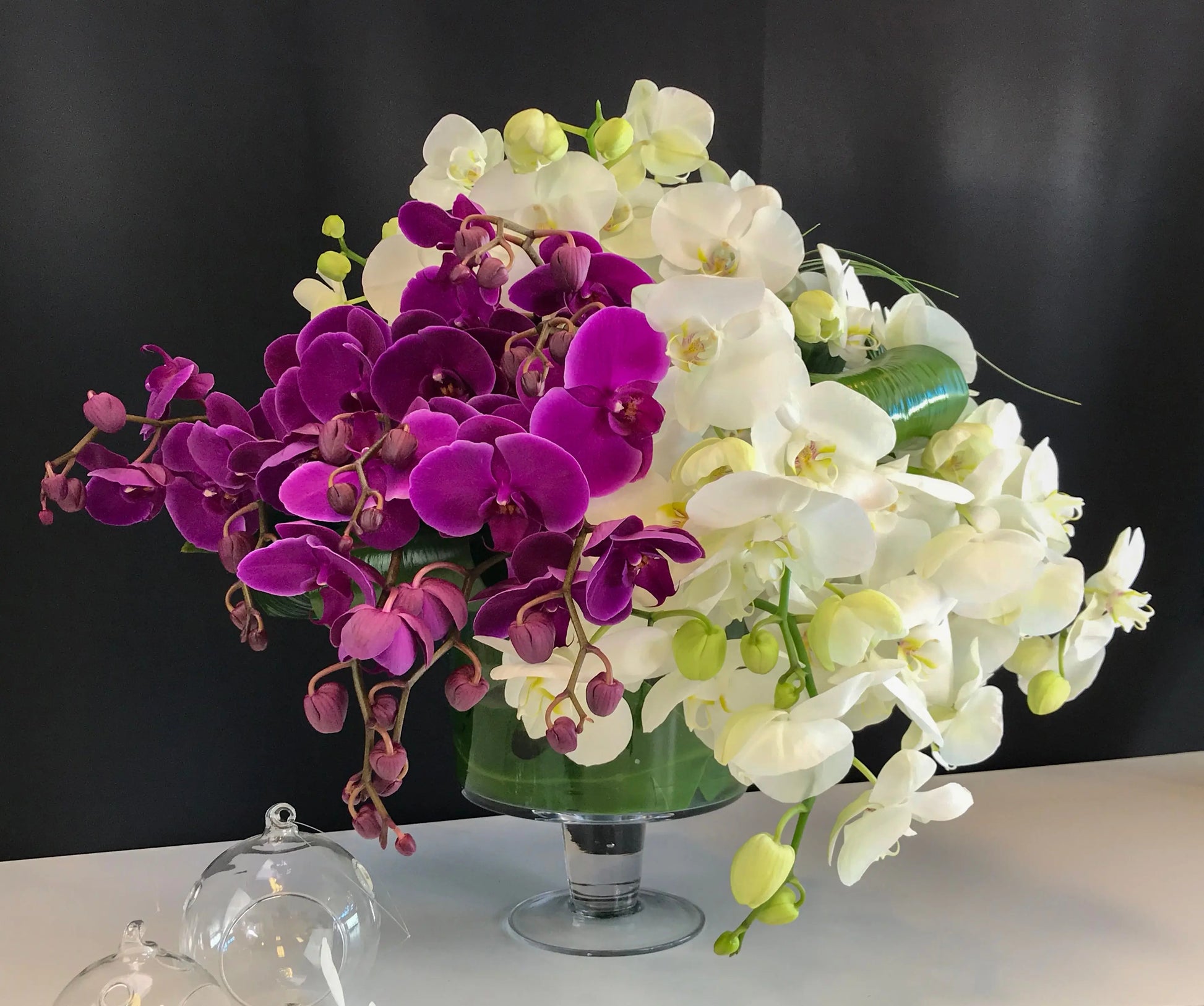 Phalaenopsis Orchid Arrangement | Luxury Orchid Design buy online Luxury Flowers Miami