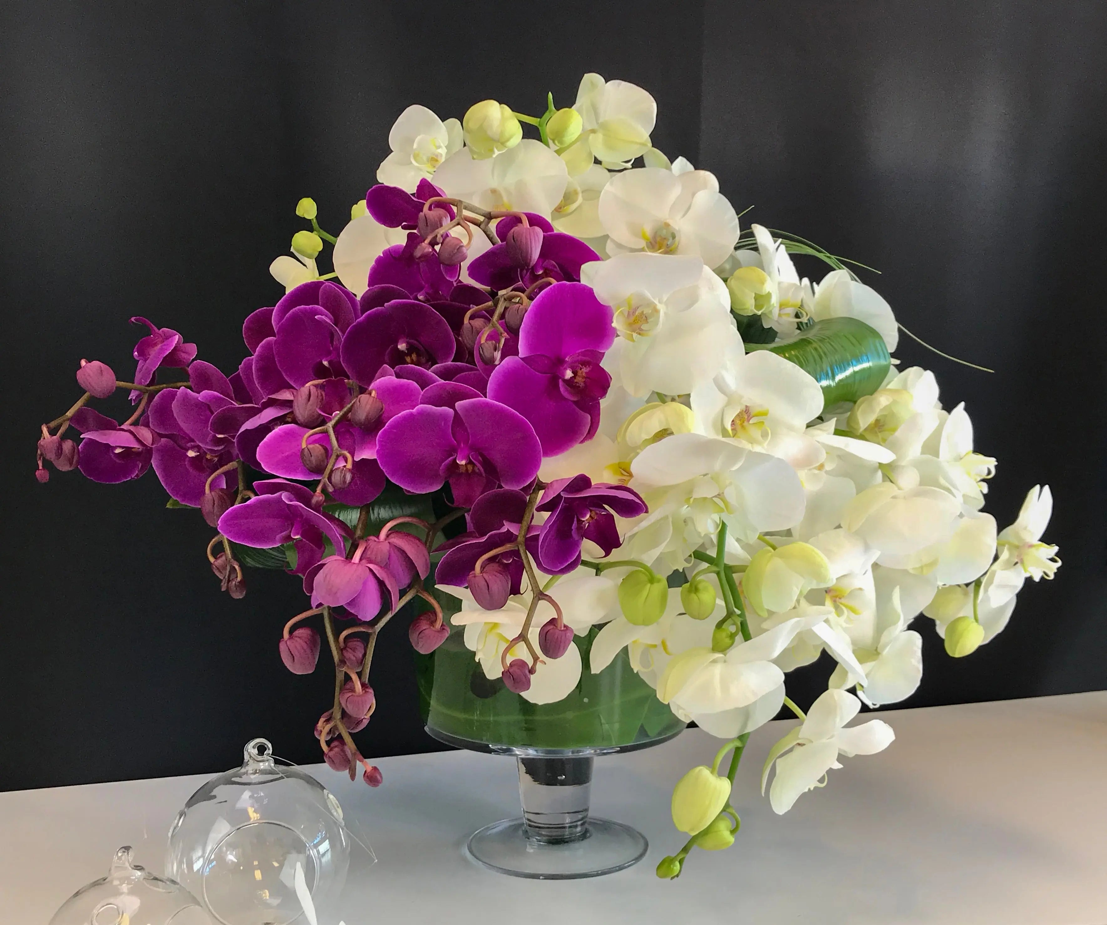 Phalaenopsis Orchid Arrangement | Luxury Orchid Design buy online Luxury Flowers Miami