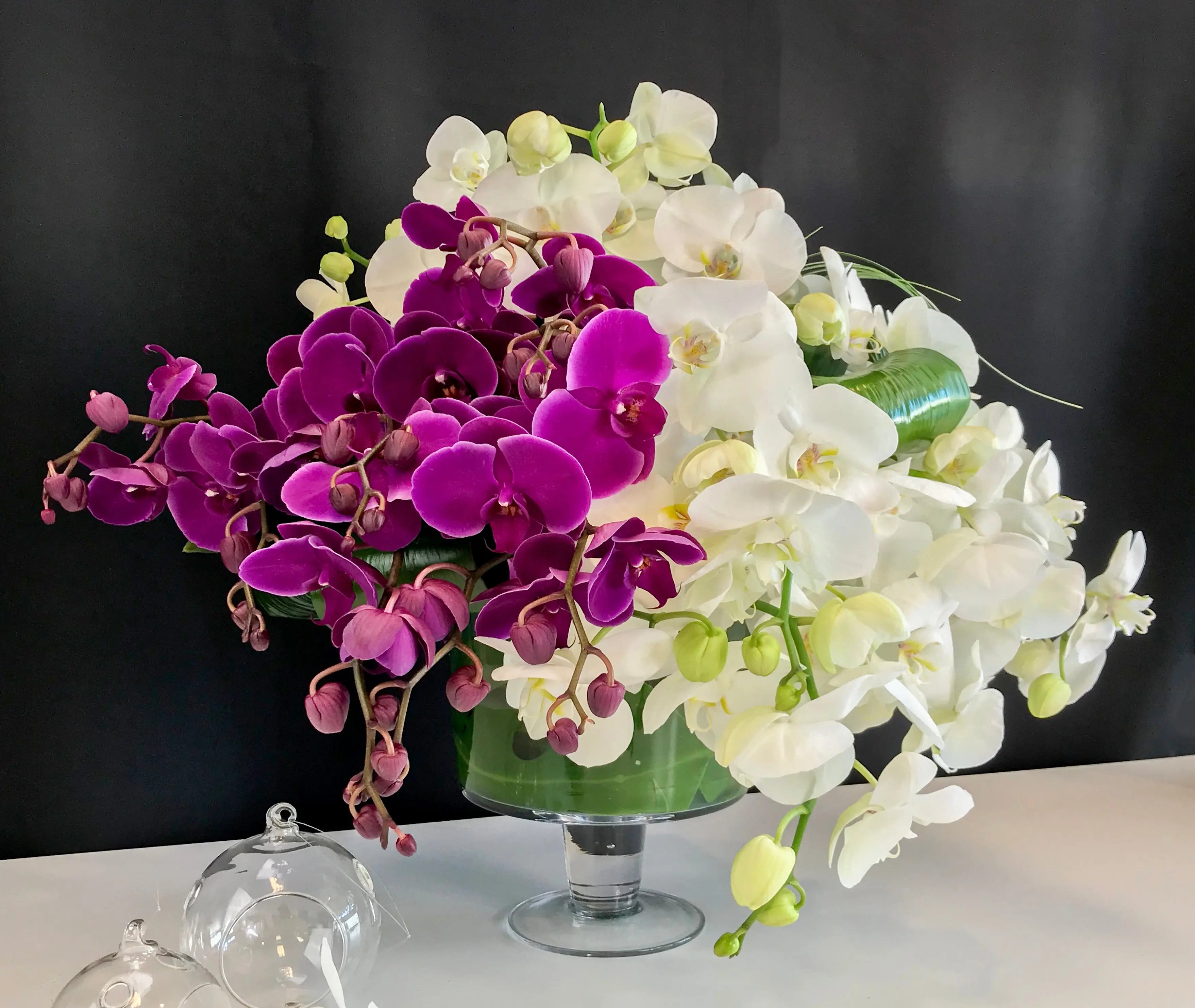 Phalaenopsis Orchid Arrangement | Luxury Orchid Design buy online Luxury Flowers Miami