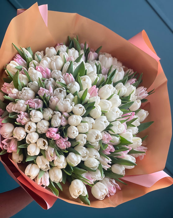 150 Light Pink and white Tulips Hand-Crafted Bouquet