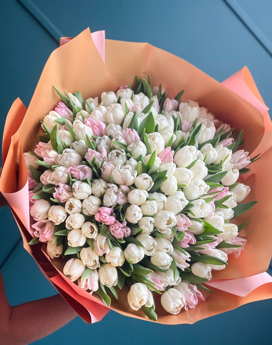 150 Light Pink and white Tulips Hand-Crafted Bouquet