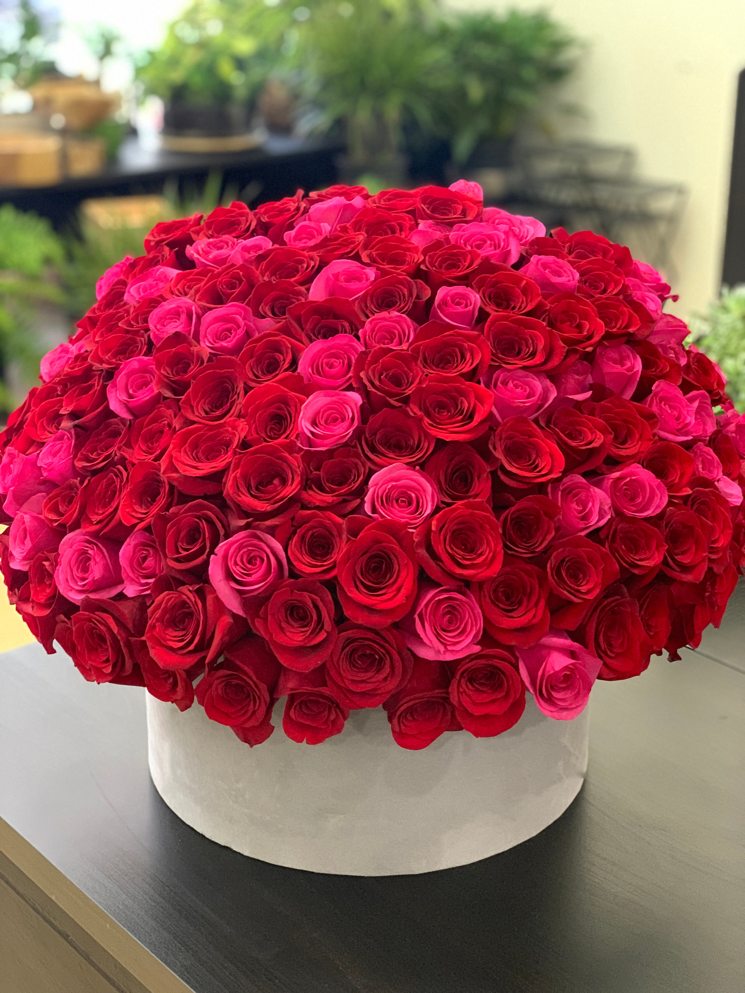 150 Roses Miami | Red & Hot Pink Luxury Rose Box