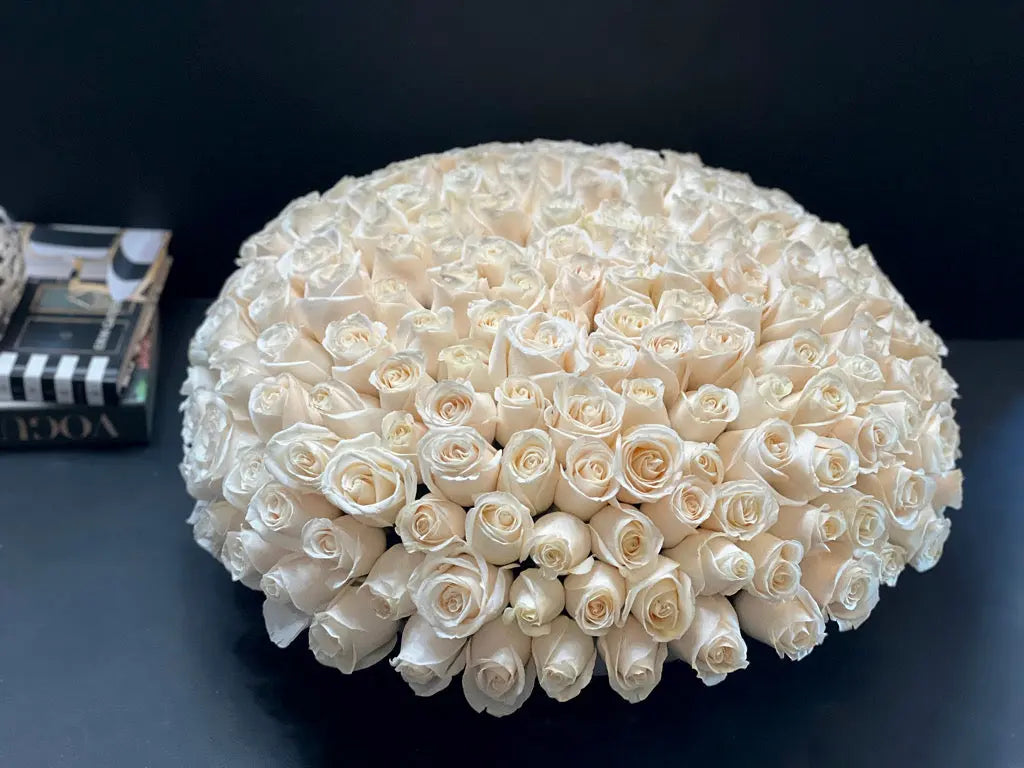 Large 150 white roses arrangement Miami