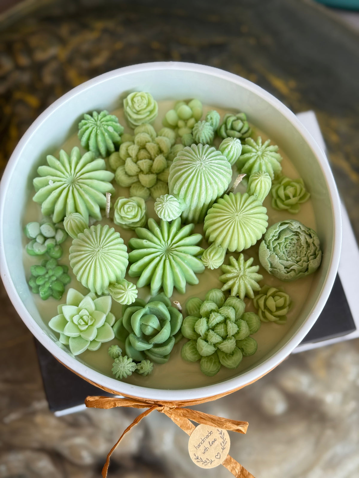 Large cactus garden candle in an 8 to 9 inch cement vessel