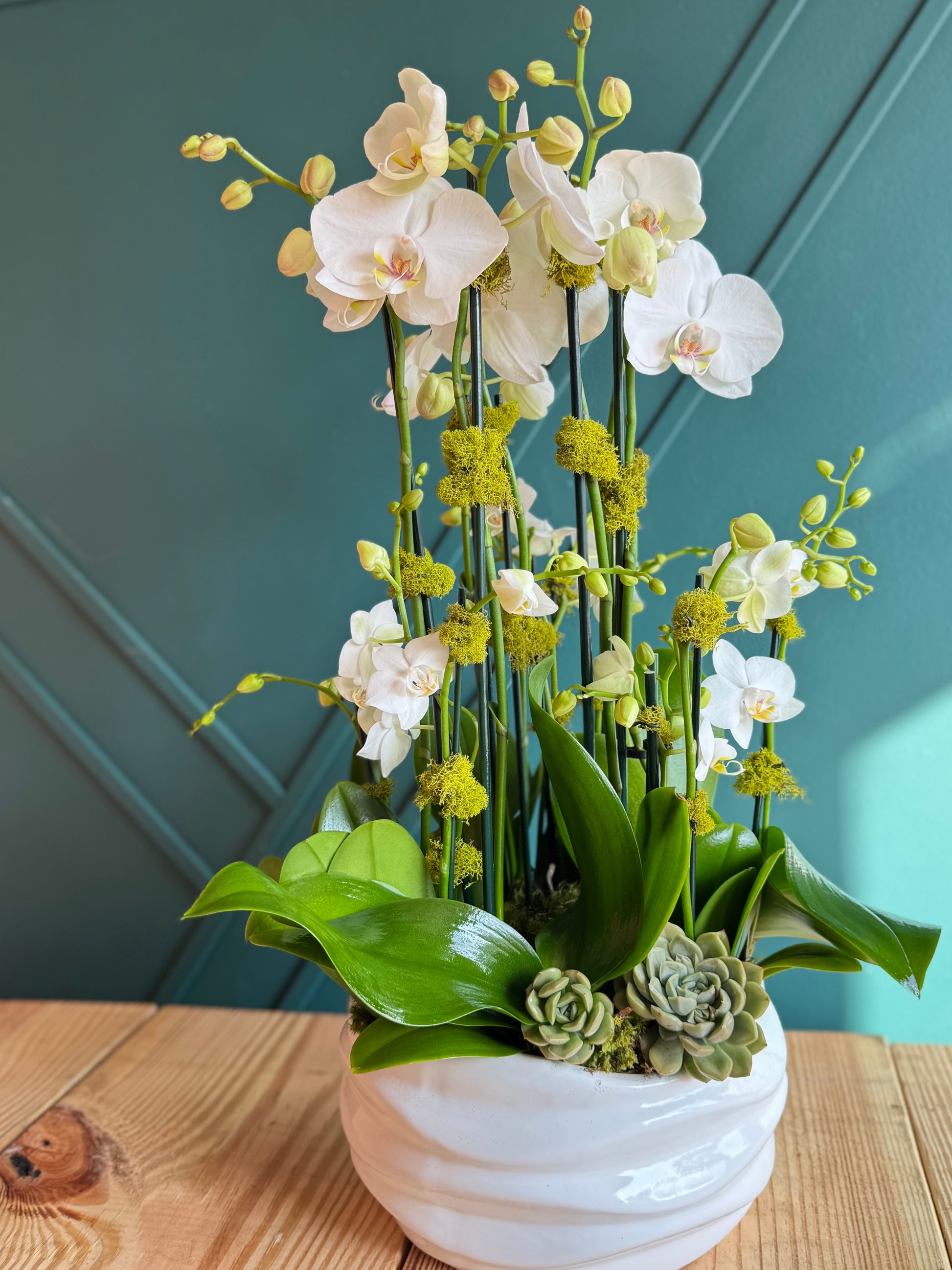 Living orchid garden with ceramic planter