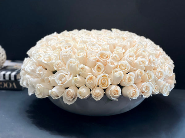 Luxury 150 white roses dome arrangement