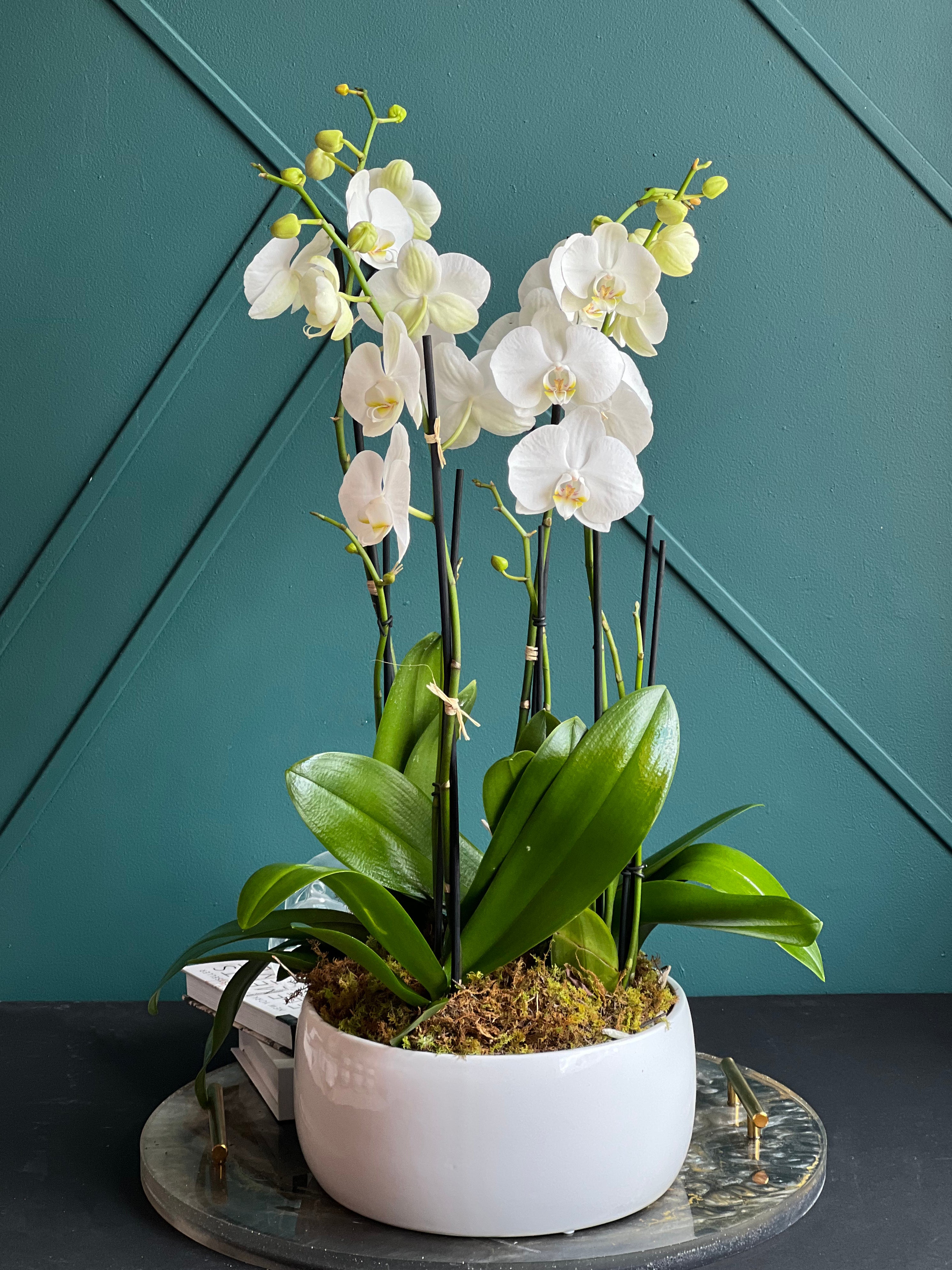 Luxury White Phalaenopsis orchids by Luxury Flowers Miami