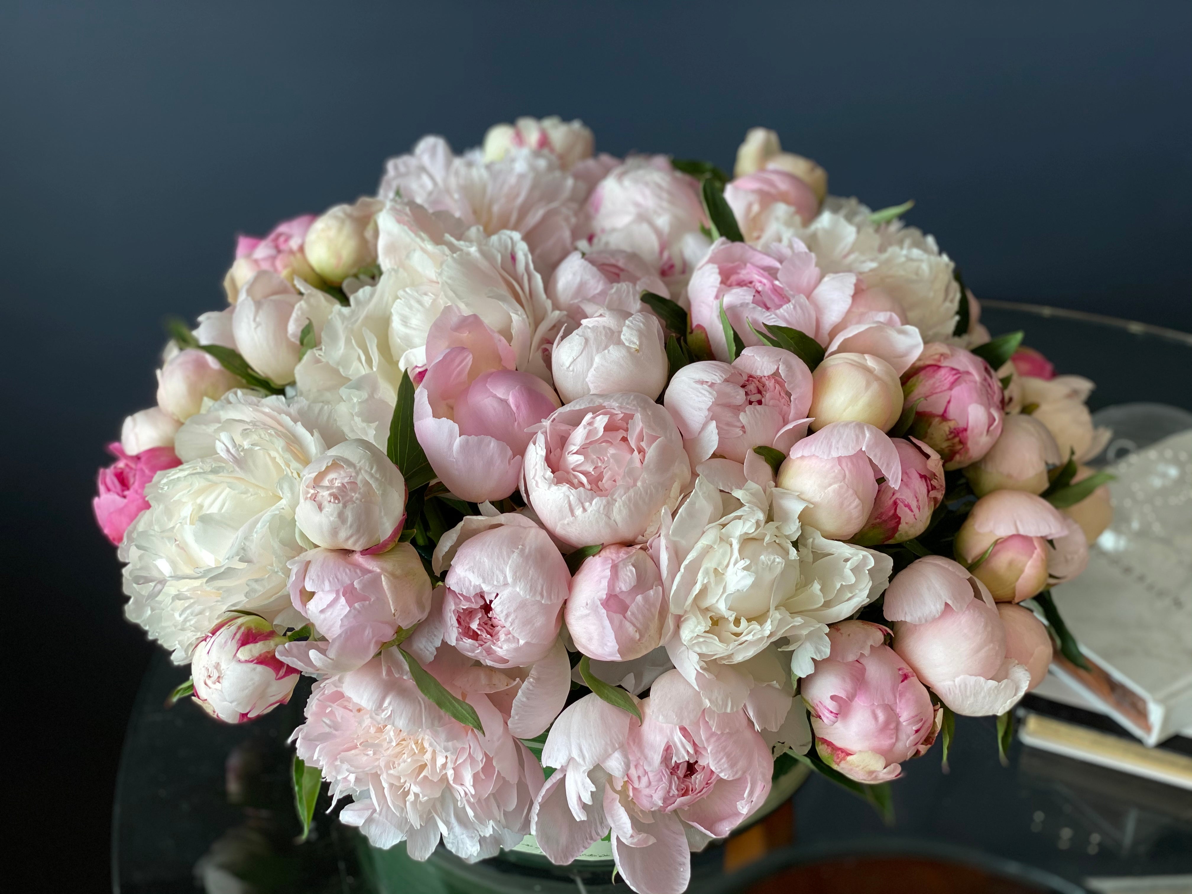 Luxury arrangement of 50 blush and pink peonies