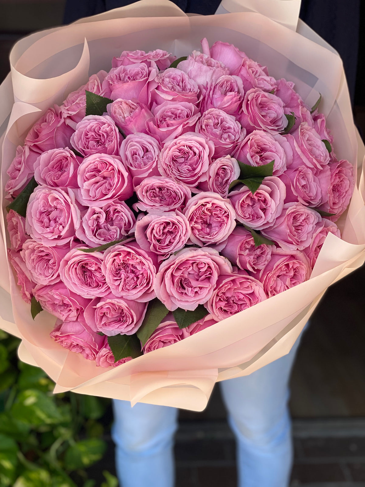 Luxury bouquet of 50 premium pink garden roses
