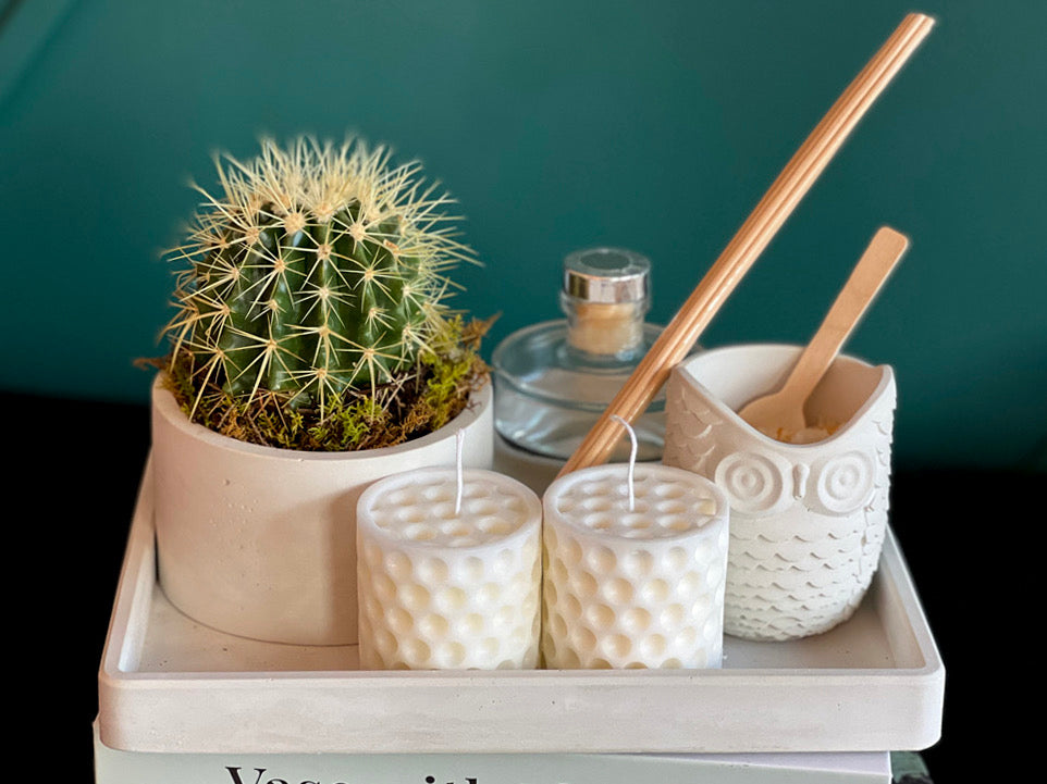 Luxury cactus gift with bath salt home fragrance and candles