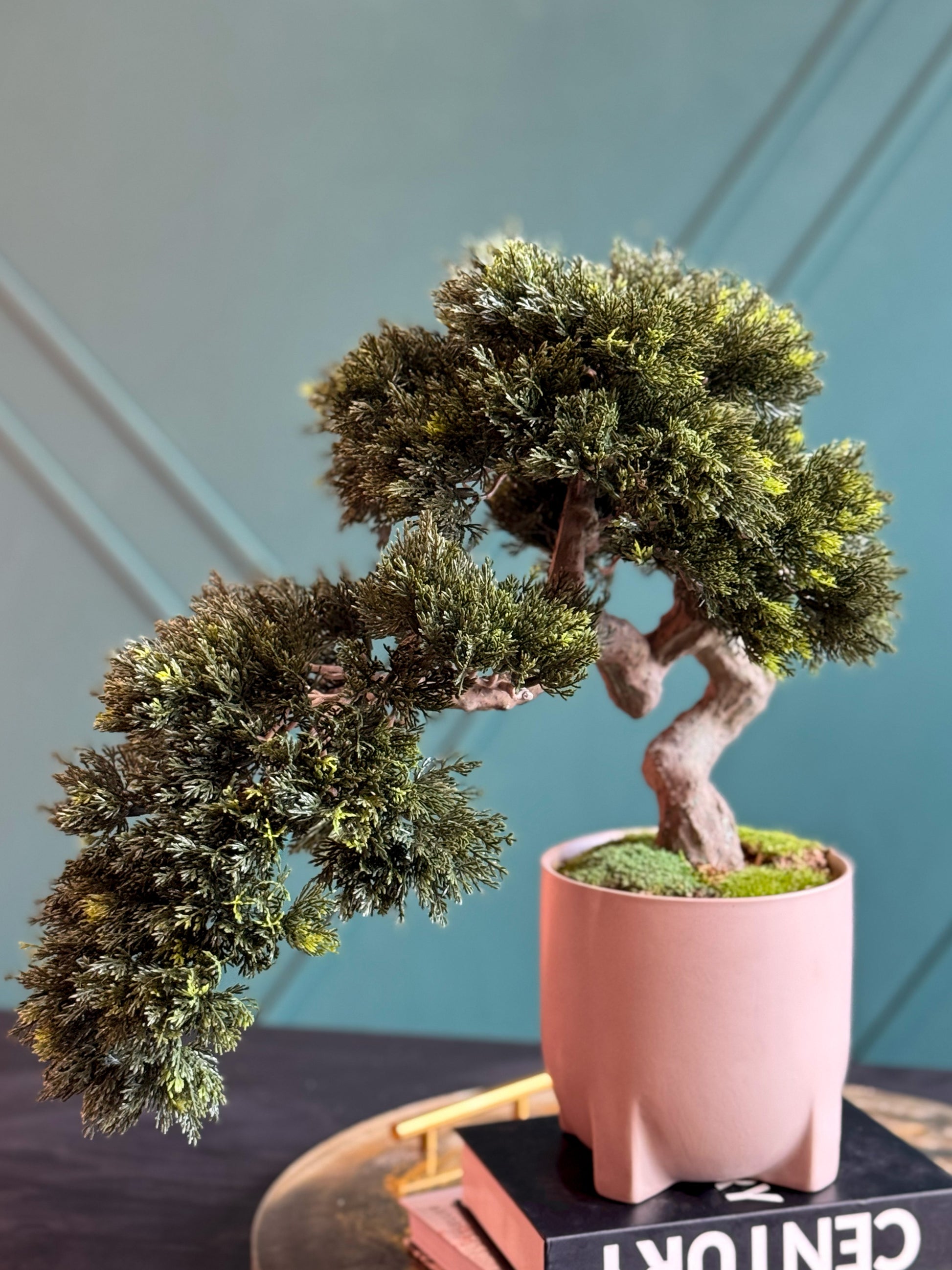 Luxury faux bonsai tree perfect for living rooms, offices, and entryway décor.