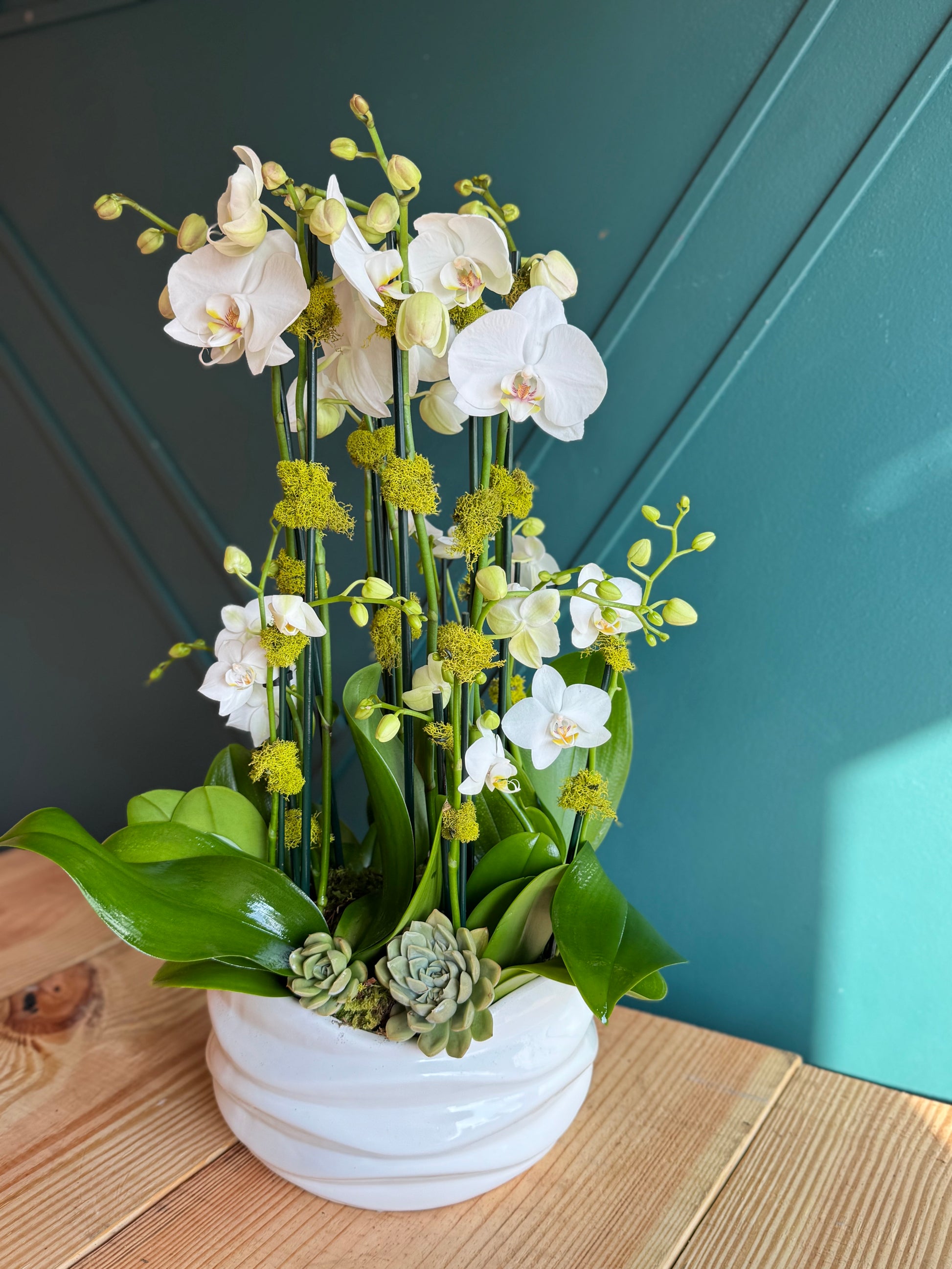 Luxury orchid garden with white blooms