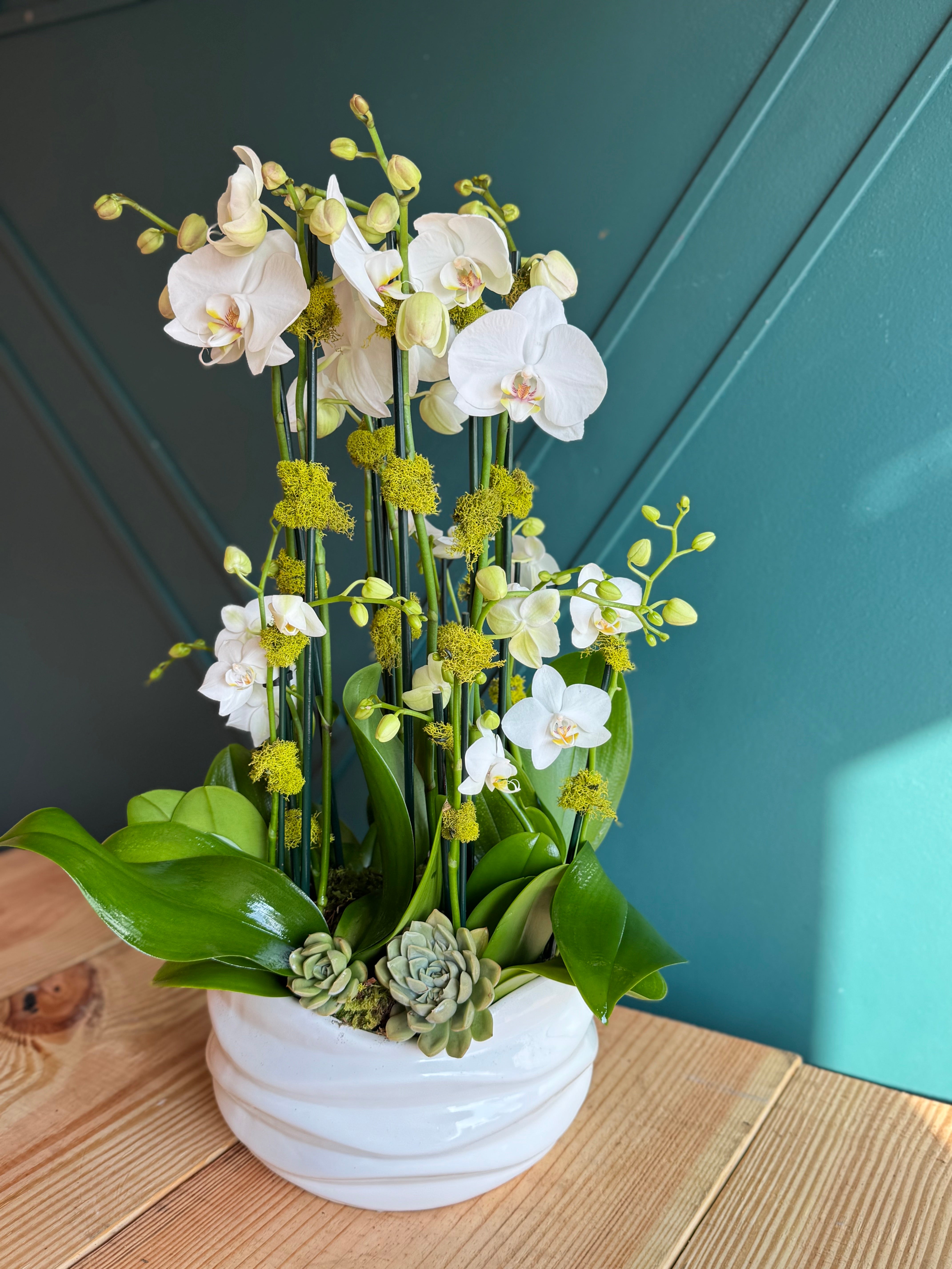 Luxury orchid garden with white blooms