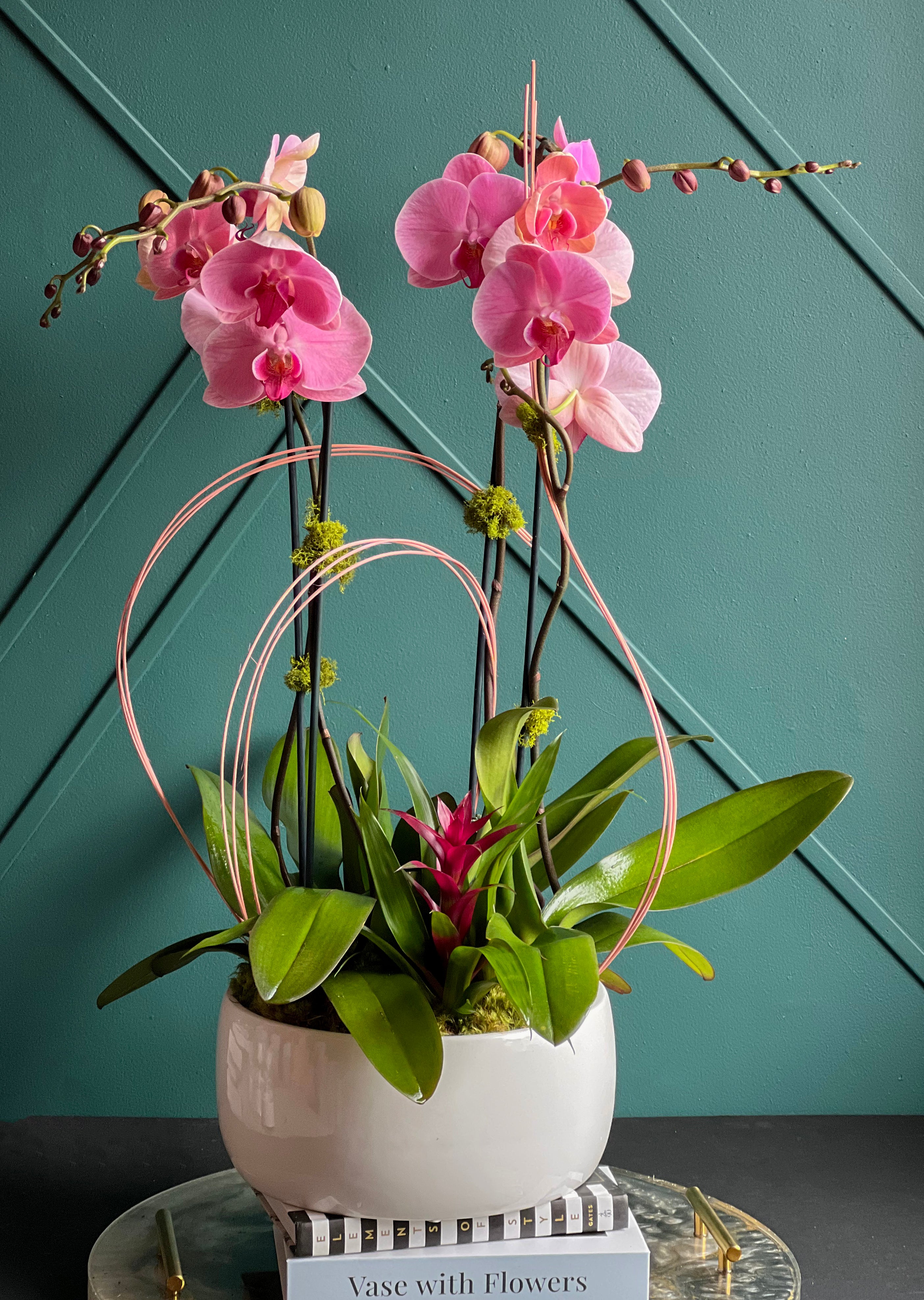 Luxury pink orchids in white ceramic planter with decorative metal rings