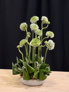 Luxury ranunculus flowers with sculptural greenery by Luxury Flowers Miami