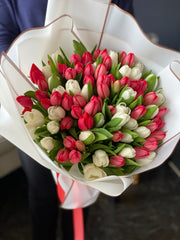Luxury tulip bouquet with 75 fresh red and white flowers