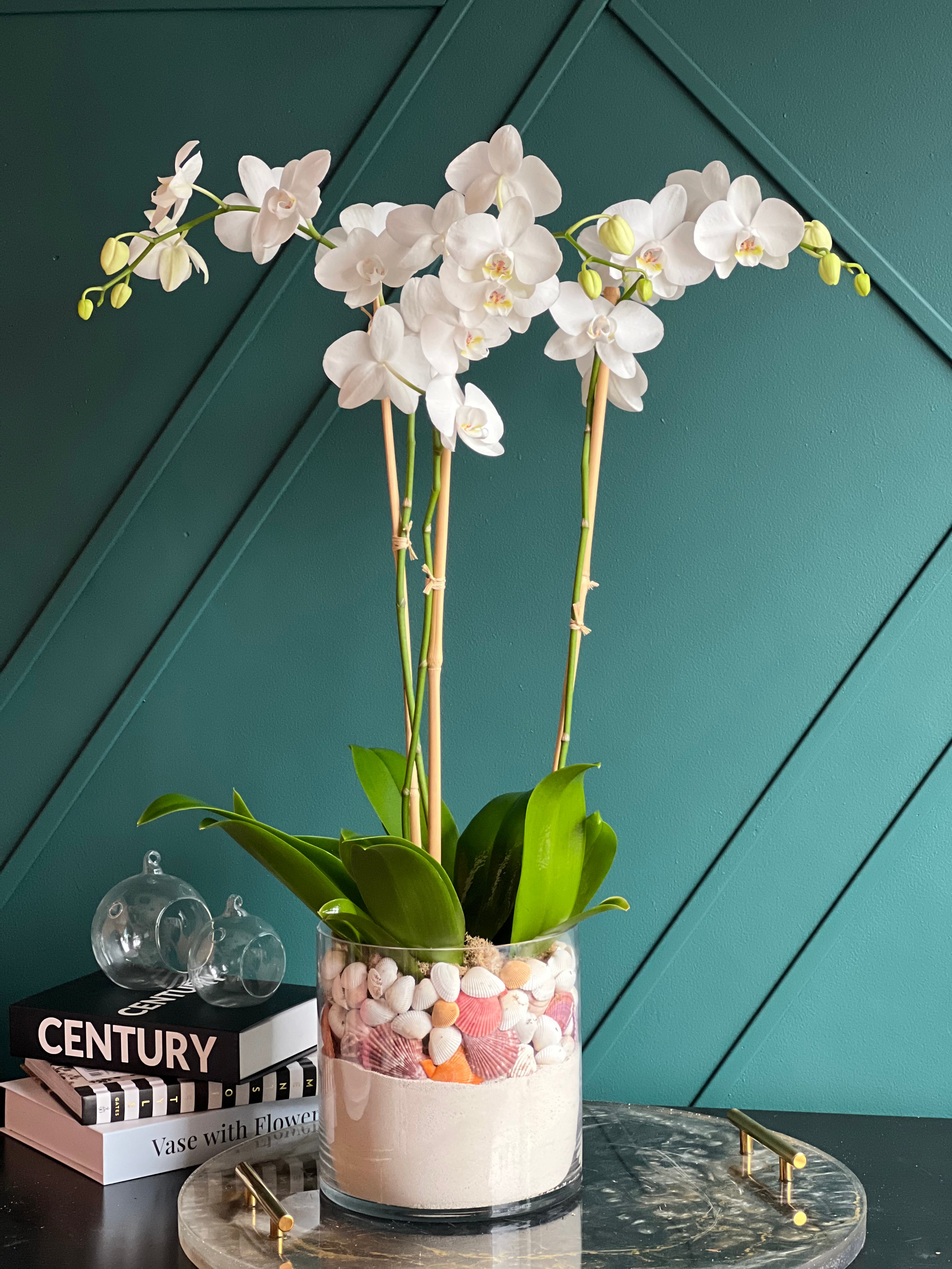 Luxury white orchid arrangement in glass vase by Luxury Flowers Miami