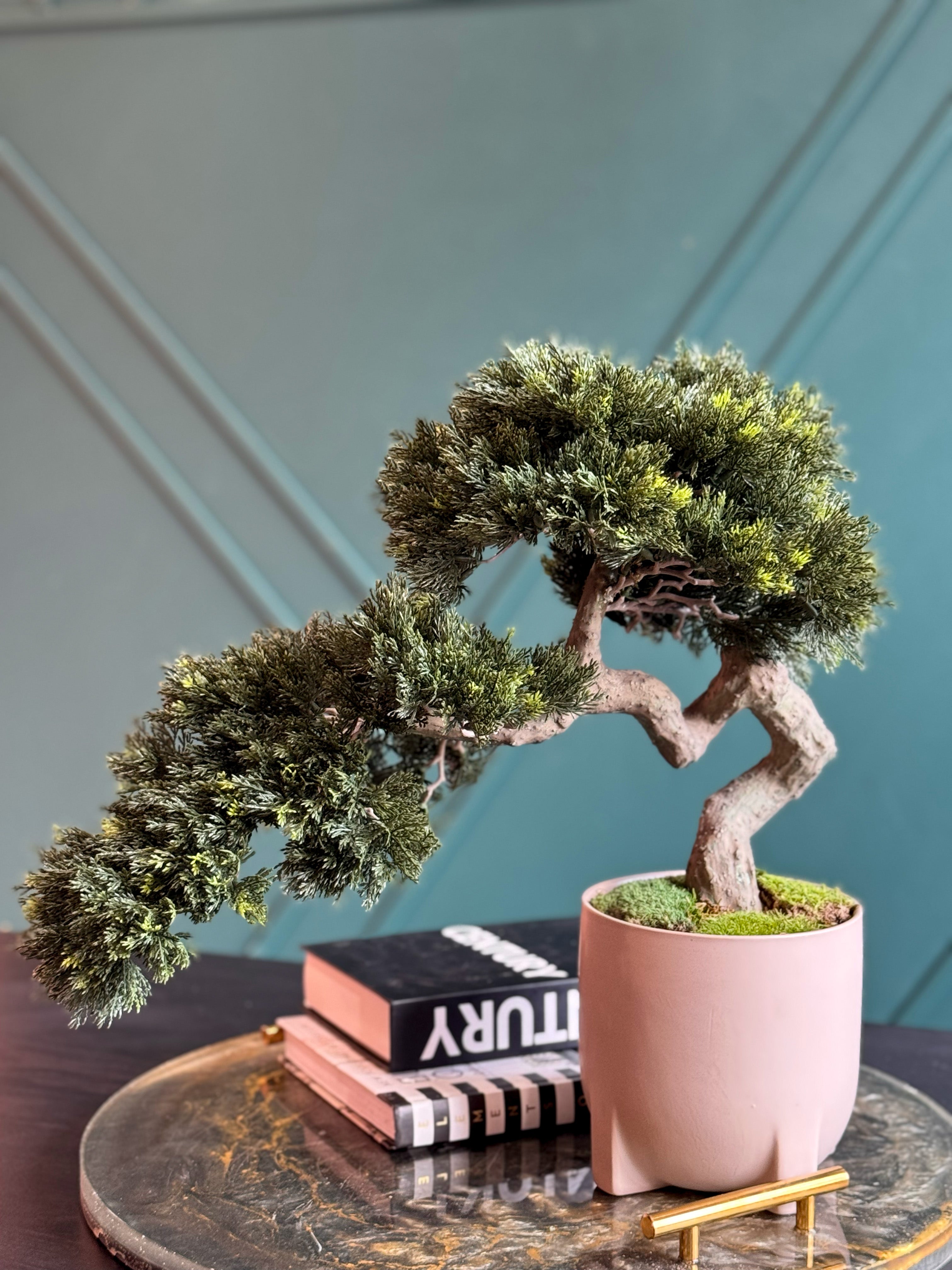 Maintenance-free bonsai tree in a stylish pink cement pot.