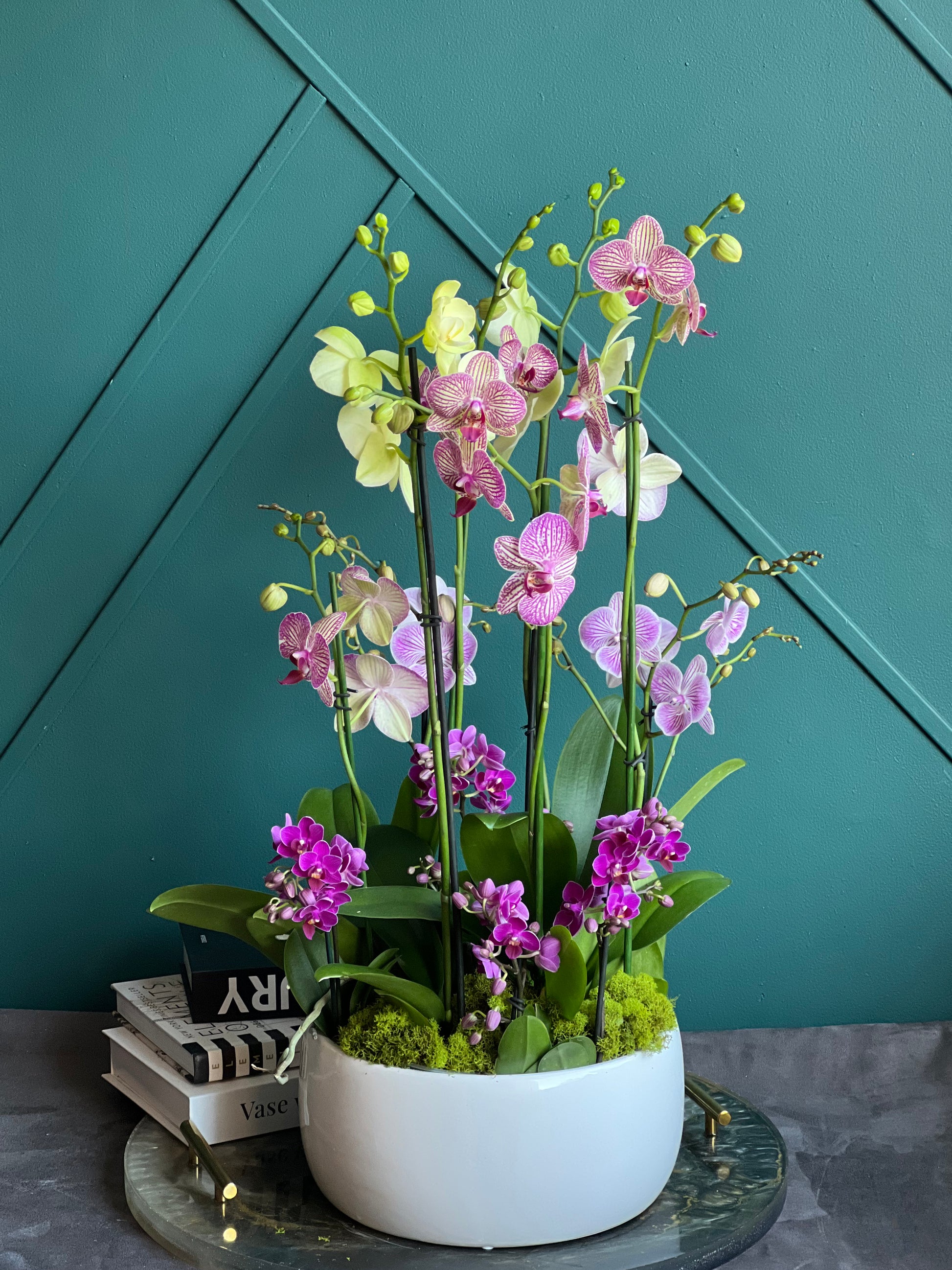 Mixed pink, lavender, cream and yellow orchids in modern white ceramic planter