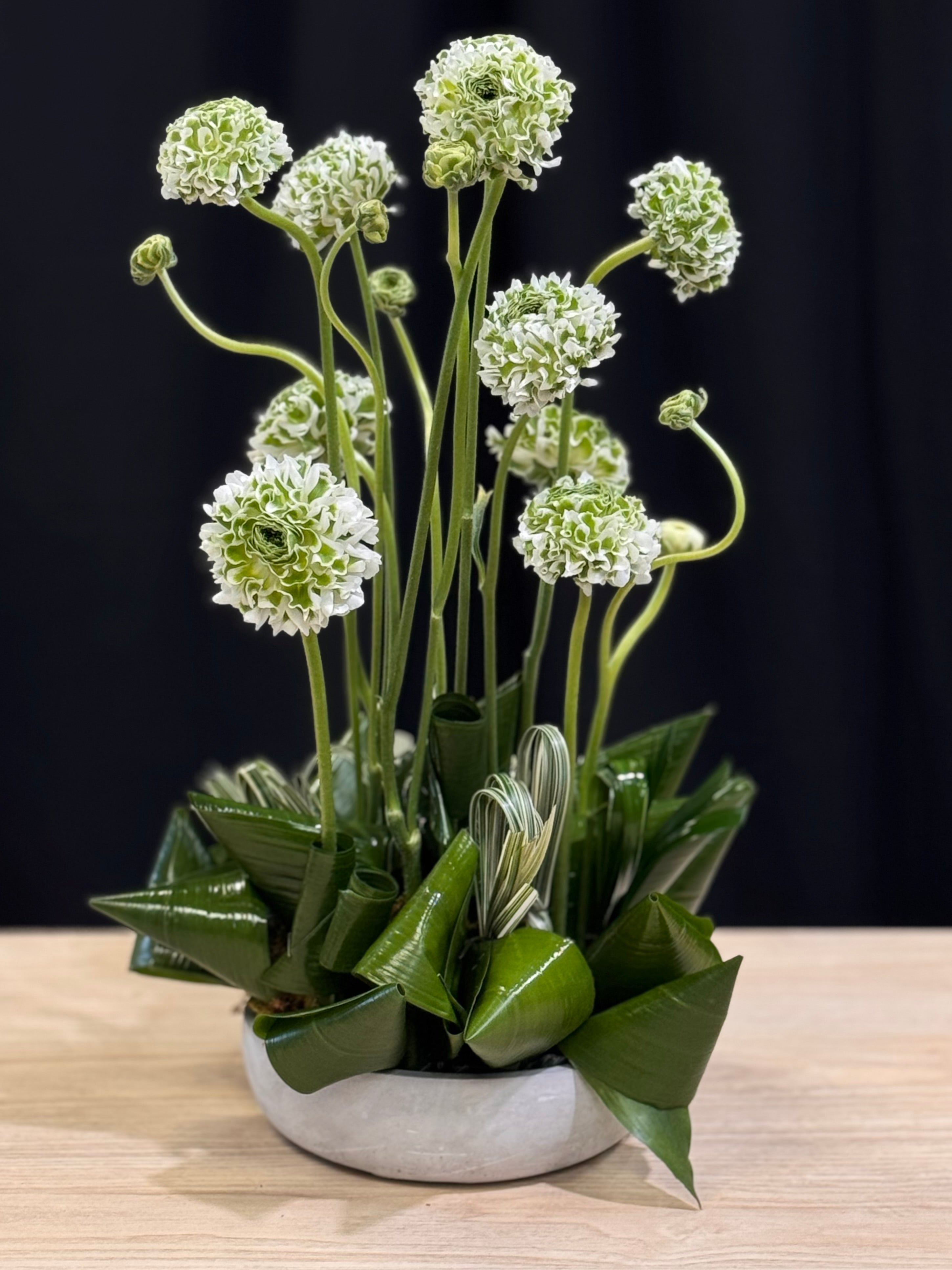 Modern arrangement of premium ranunculus in a cement vase by Luxury Flowers Miami
