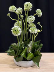 Modern arrangement of premium ranunculus in a cement vase by Luxury Flowers Miami
