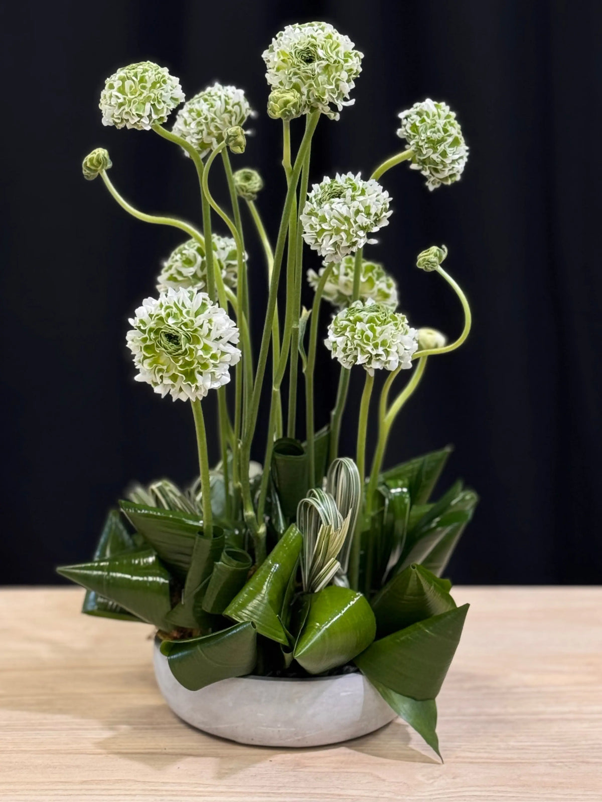 Modern arrangement of premium ranunculus in a cement vase by Luxury Flowers Miami
