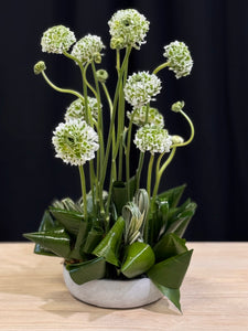 Modern arrangement of premium ranunculus in a cement vase by Luxury Flowers Miami
