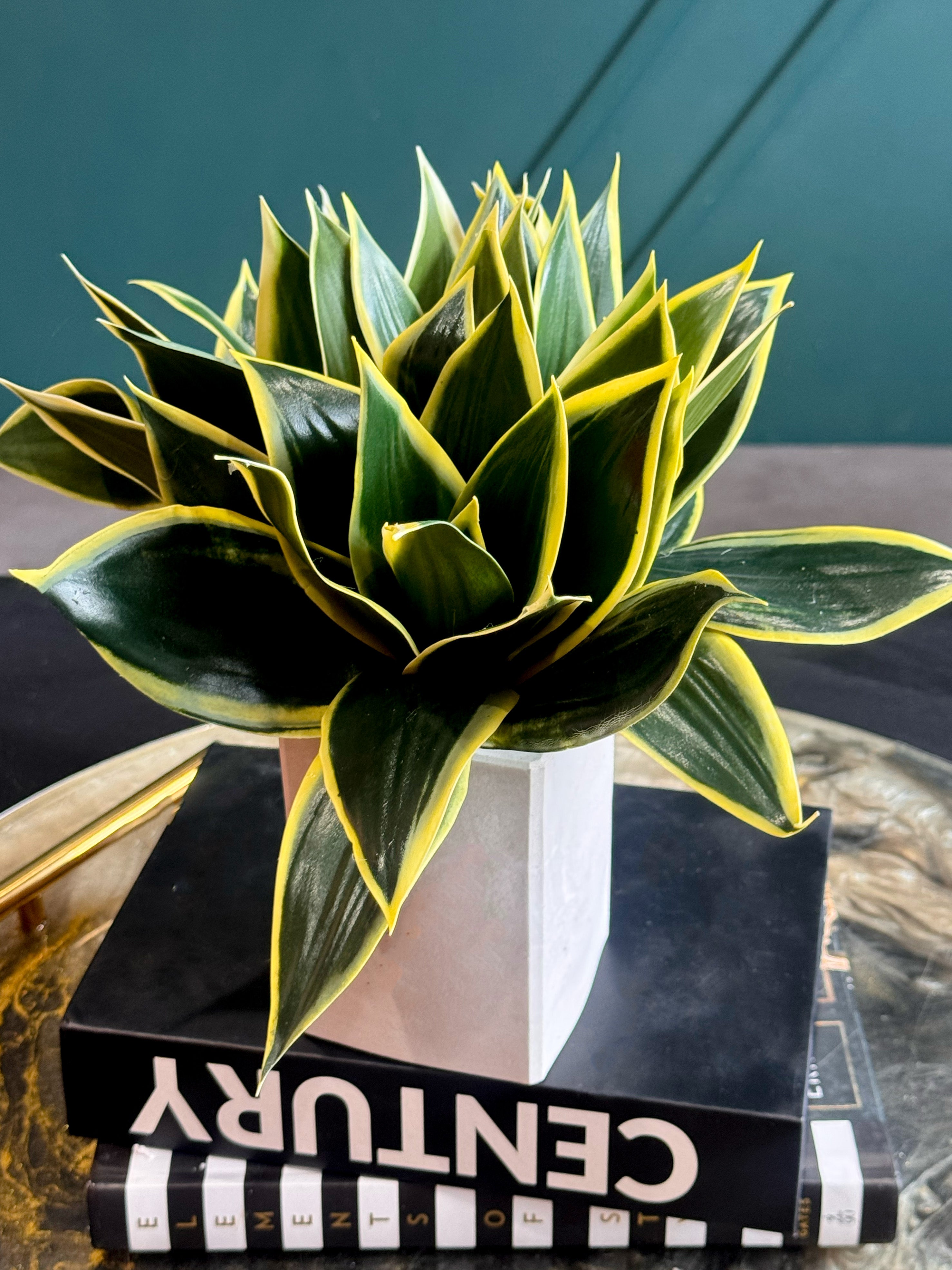 Modern artificial snake plant with realistic variegated green leaves.