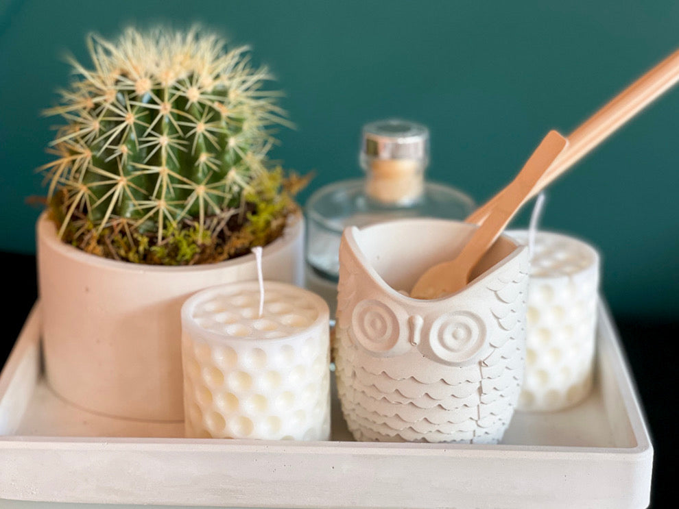 Modern cactus garden gift with two small candles and bath salt