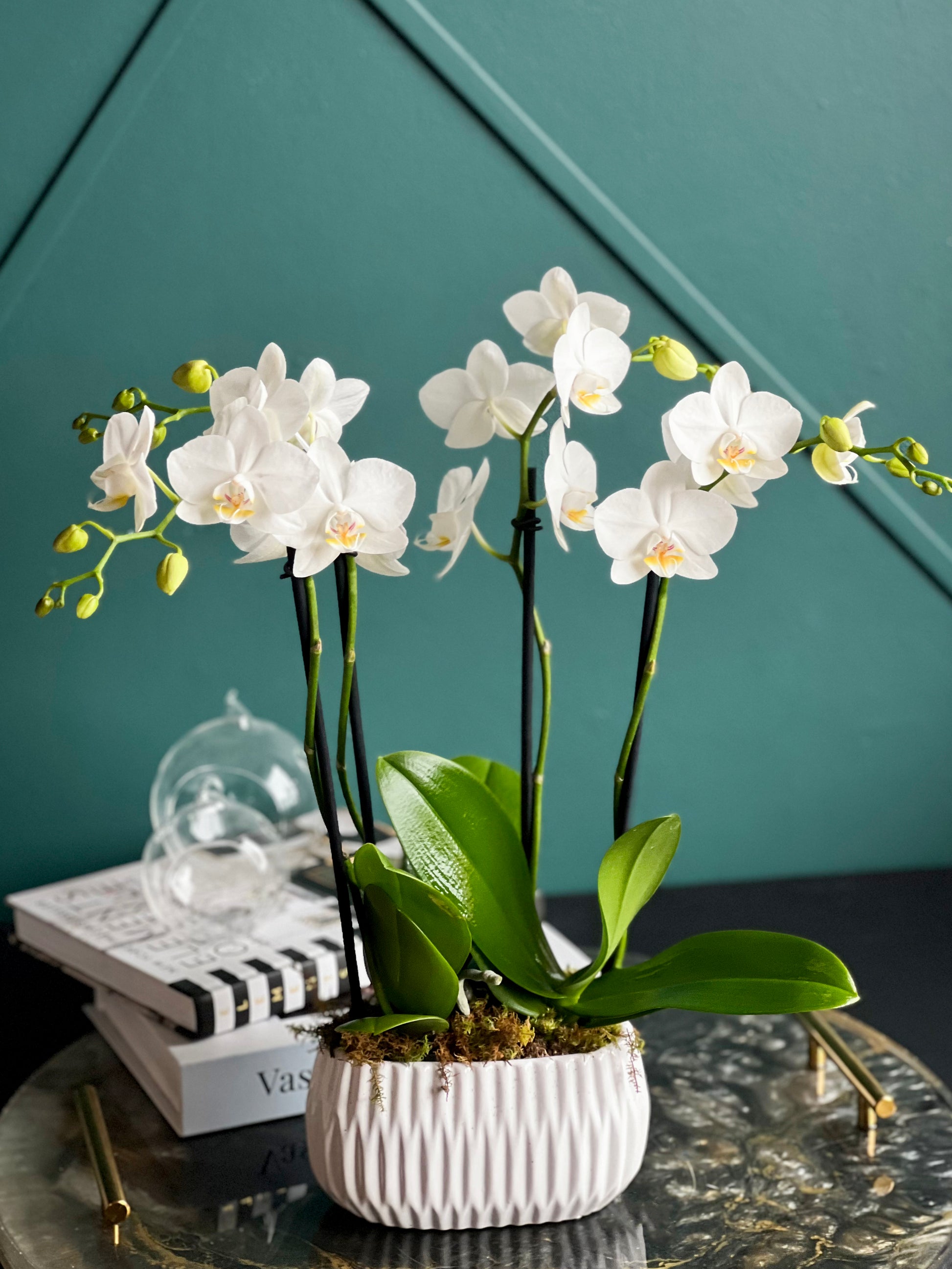 Modern ceramic orchid arrangement