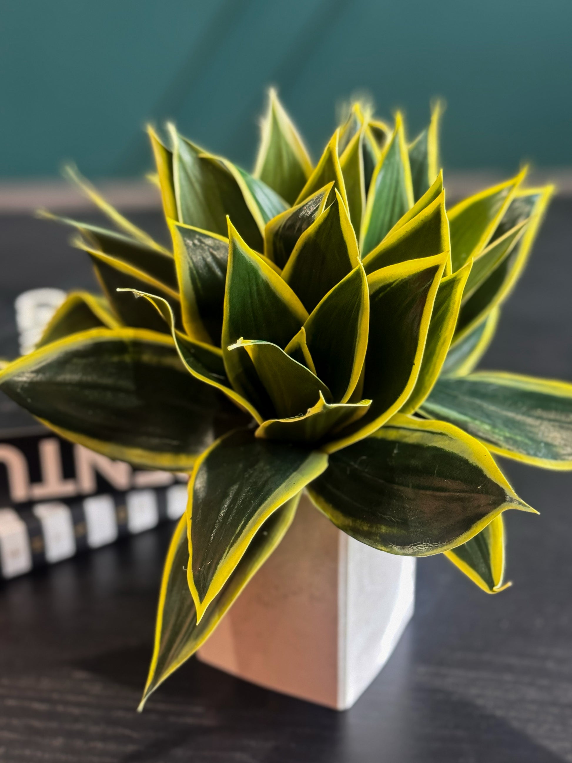 Modern faux snake plant centerpiece with realistic Real Touch leaves.