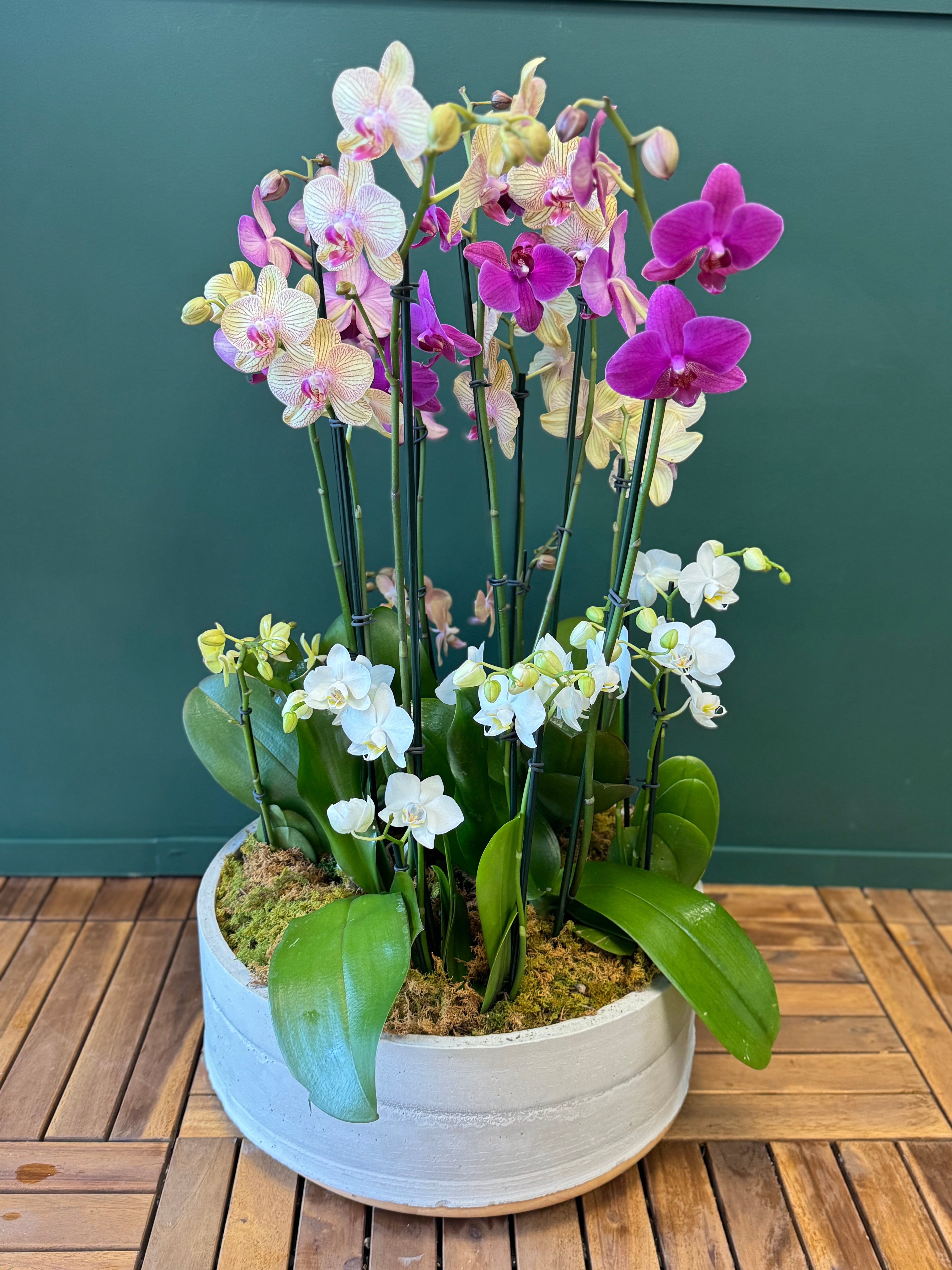Modern orchid centerpiece by Luxury Flowers Miami
