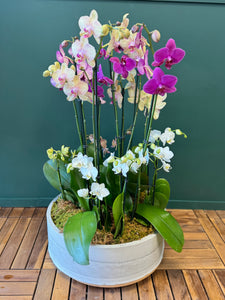 Modern orchid centerpiece by Luxury Flowers Miami