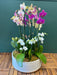 Modern orchid centerpiece by Luxury Flowers Miami